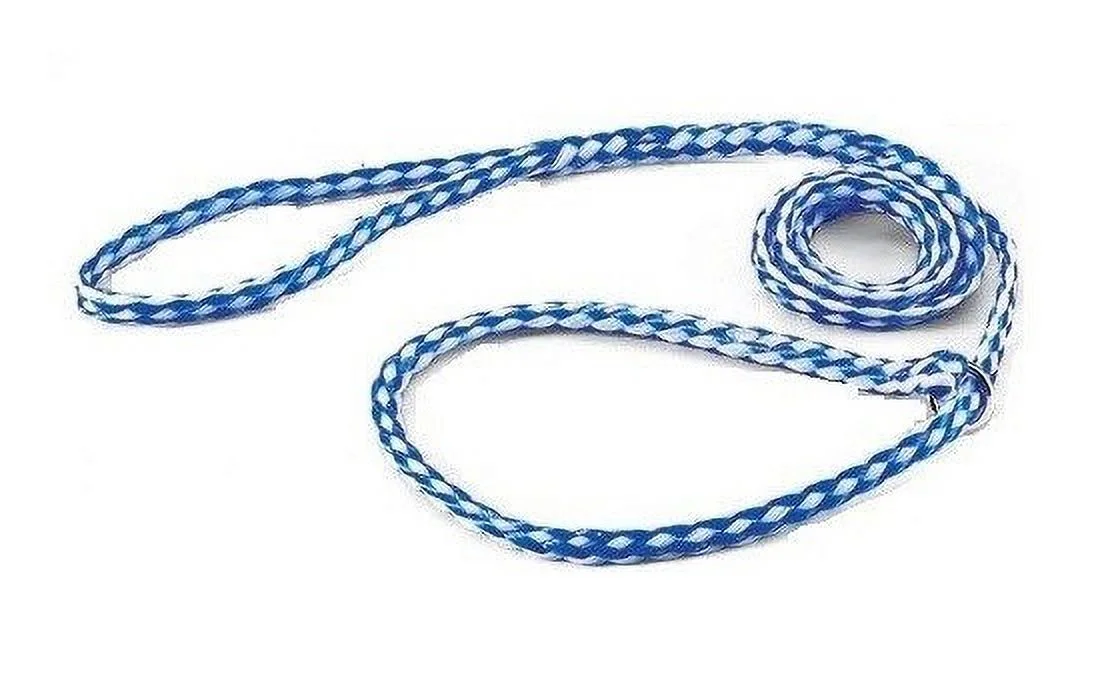 Kennel Dog Lead Bulk Packs for Dogs Heavy Poly Control Slip Style Rescue Shelter (12 Leads)