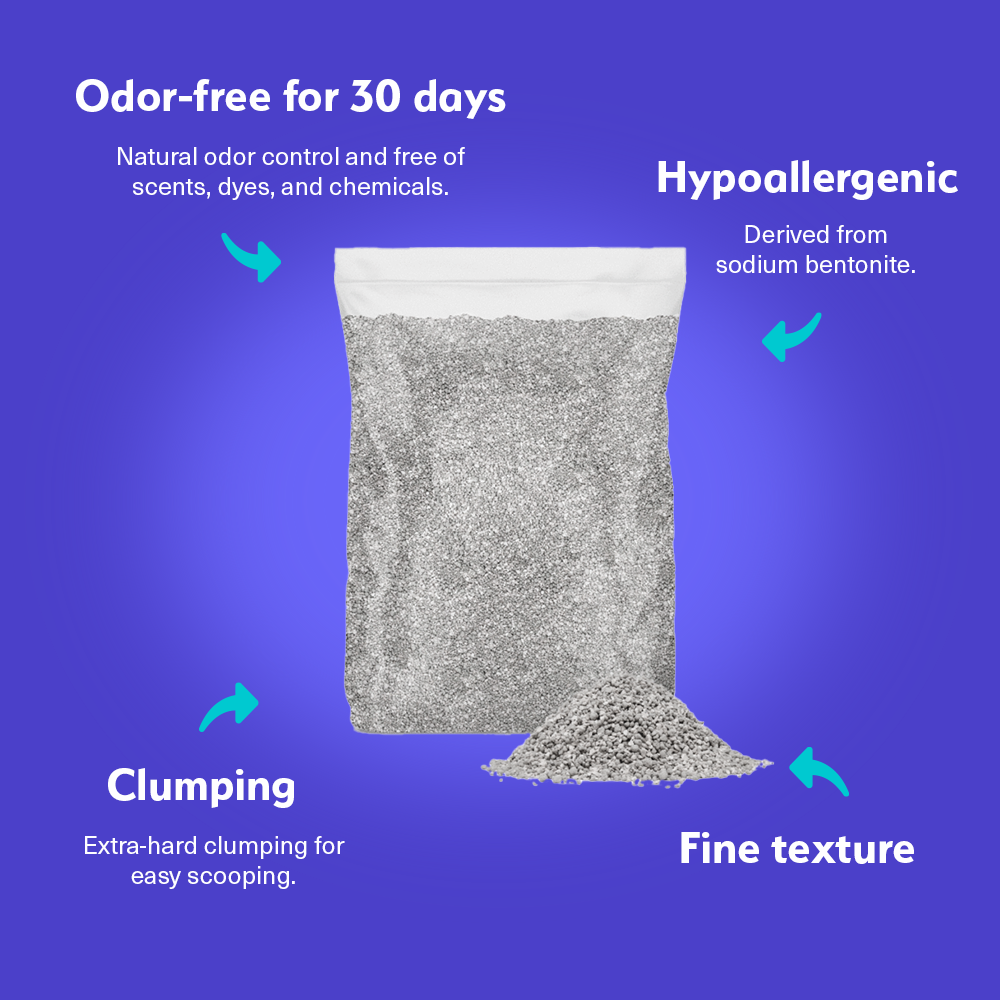 Kitty Poo Club's Eco-Friendly Open Top Cat Litter Box: Large Recyclable Solution with Premium Clay Litter