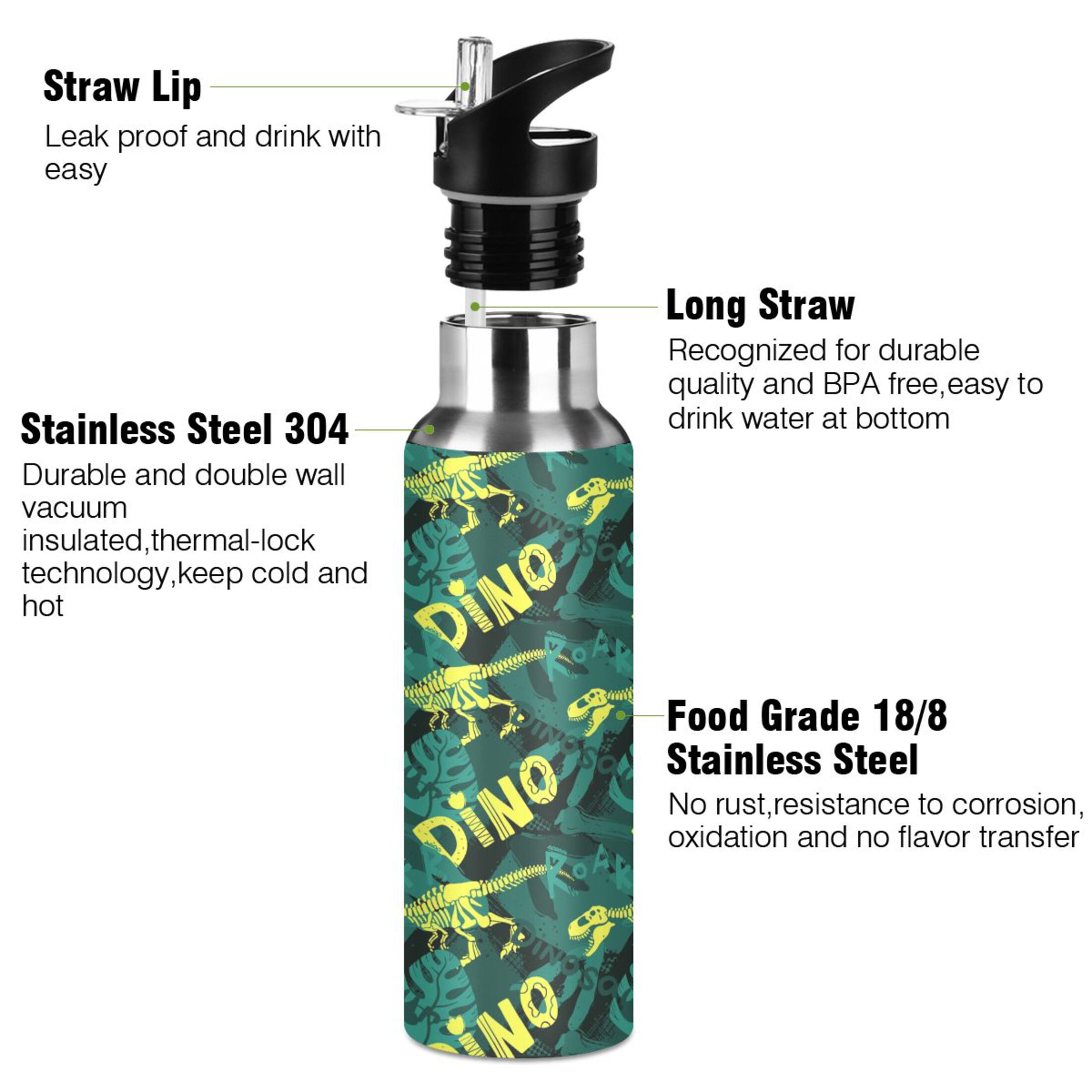Stainless Steel Water Bottle Dinosaurs and Plants with Straw Lid Vacuum Insulated Keeps Hot and Cold Leak Proof Flask Jug for Gym Travel Sports Cycling Outdoor 20 OZ