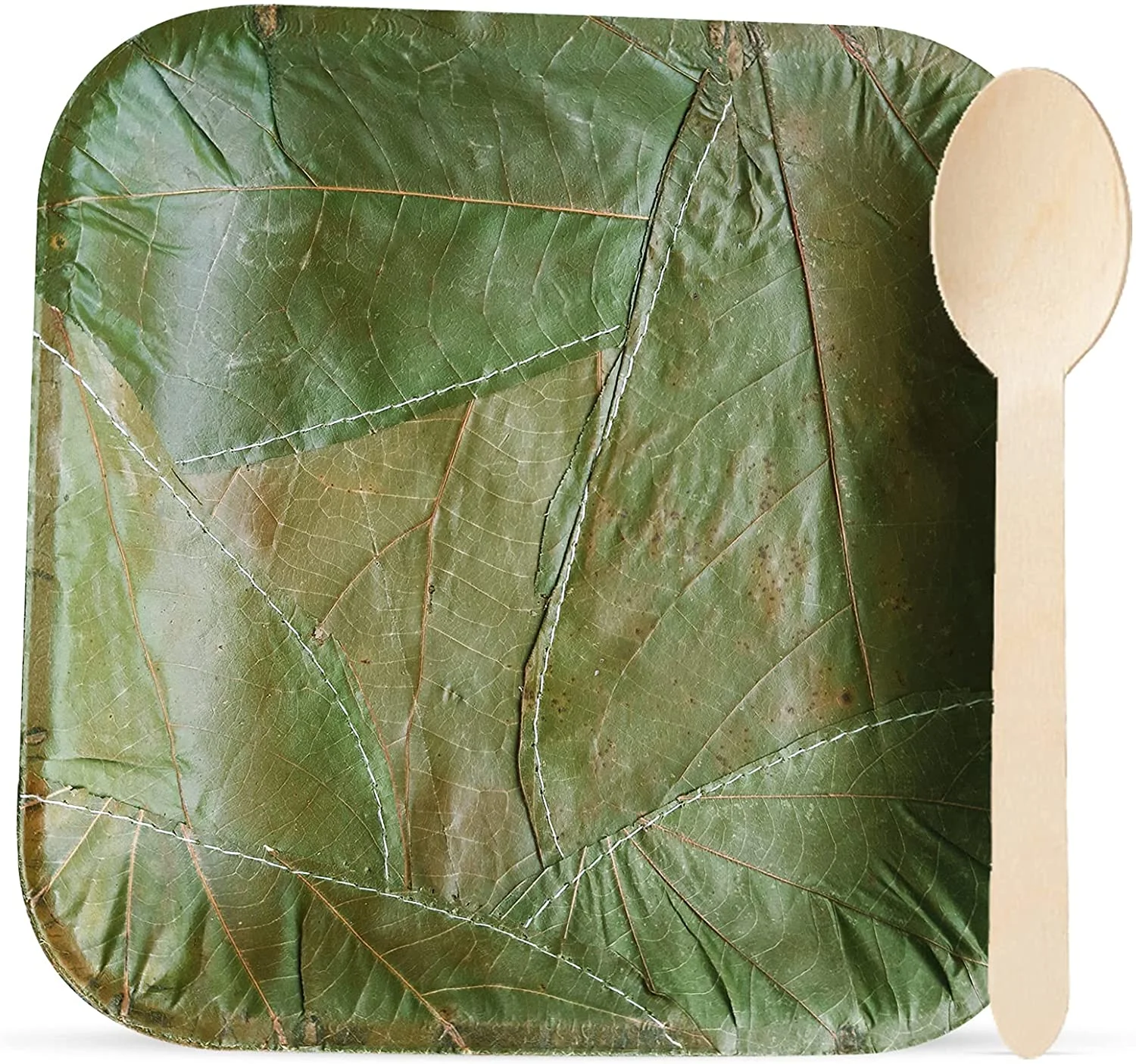 Palash-Sal leaf Single use Plate | Party, Festival, wedding, BBQ Disposable supply | 7