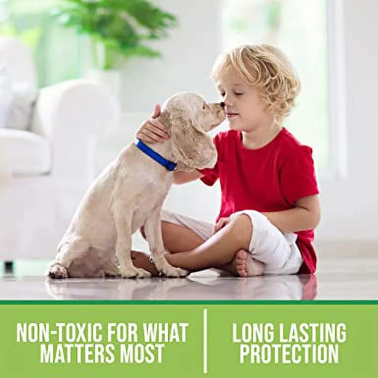 Seal It Green, Grout Sealer, Block Stains and Protects the Surface.