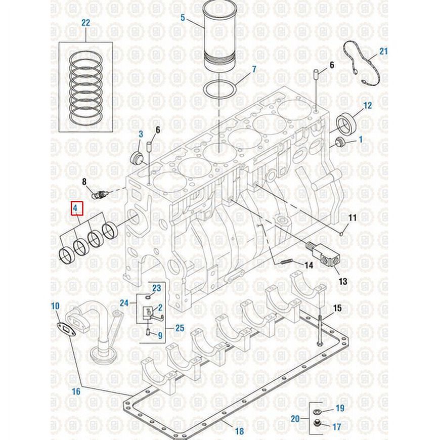 Pai 451487 Engine Camshaft Bearing Set   2004 2015 International