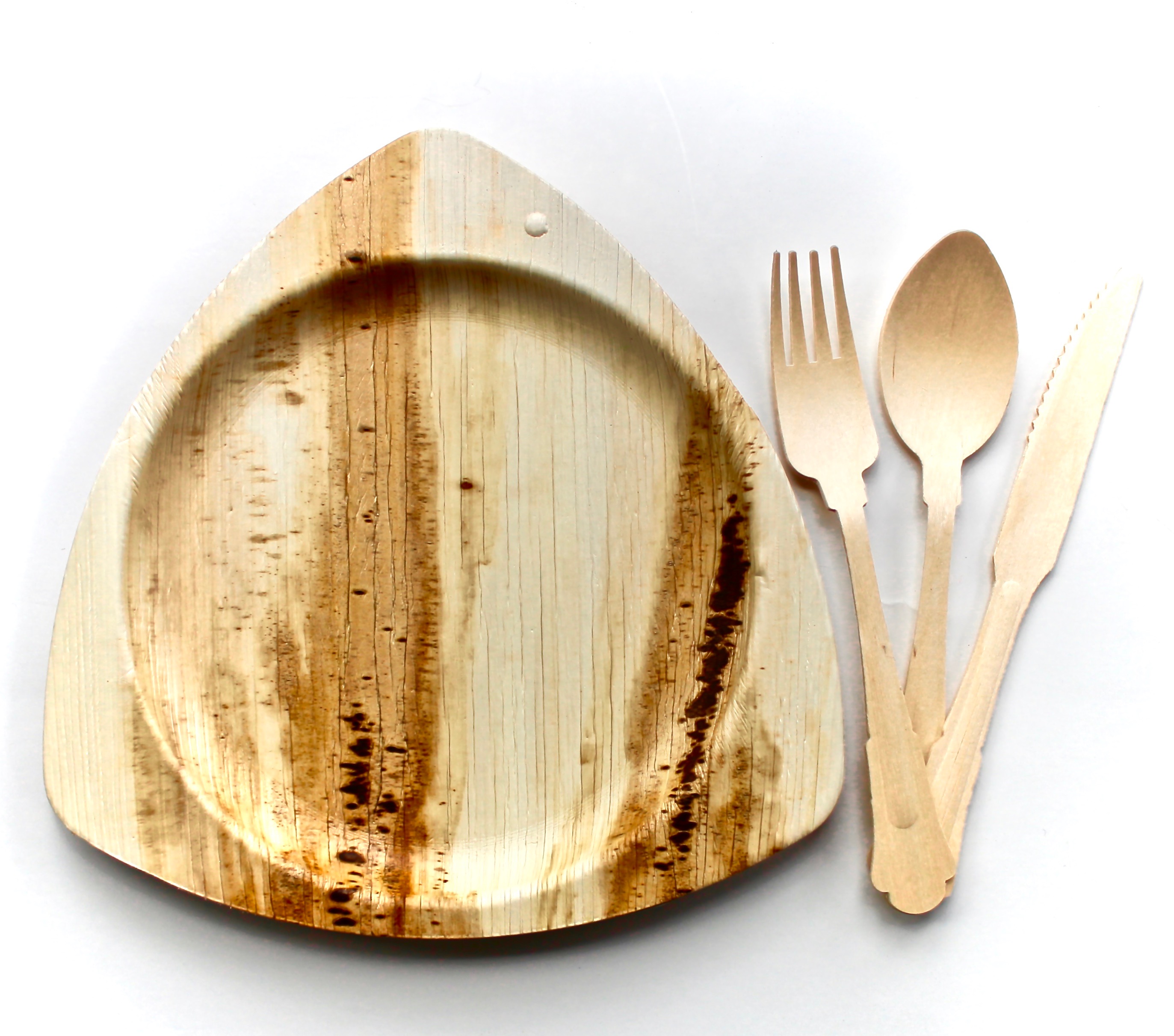 Party Palm Leaf Plates 10 Pic Round 10