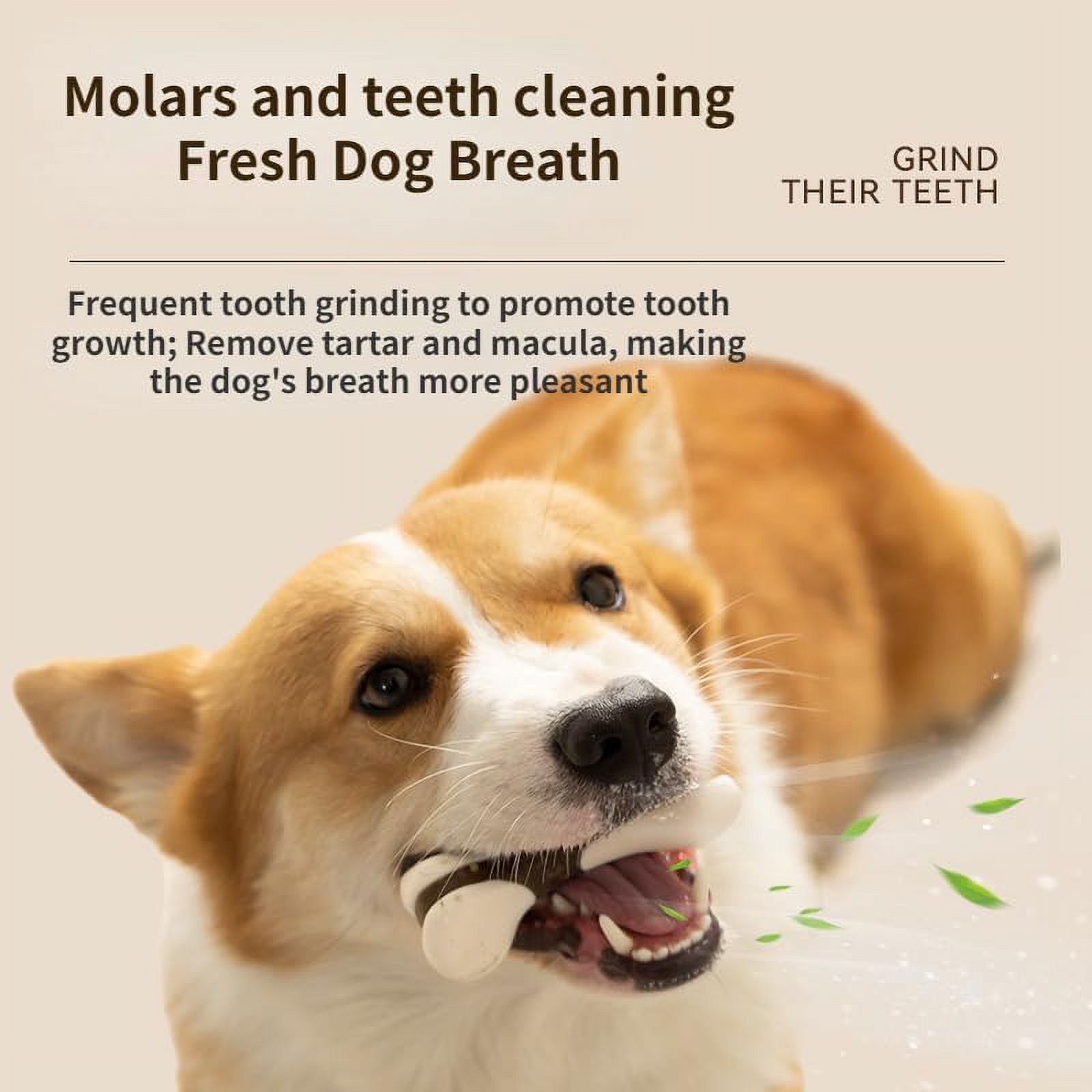 Intertest 2 Eat and Play with Bones, Clean Teeth, Grind Teeth, Stick Cowhide, Stick Dog Bite Gum, Hind Leg Bone Chew Dog Bite Toy, Pet Toy