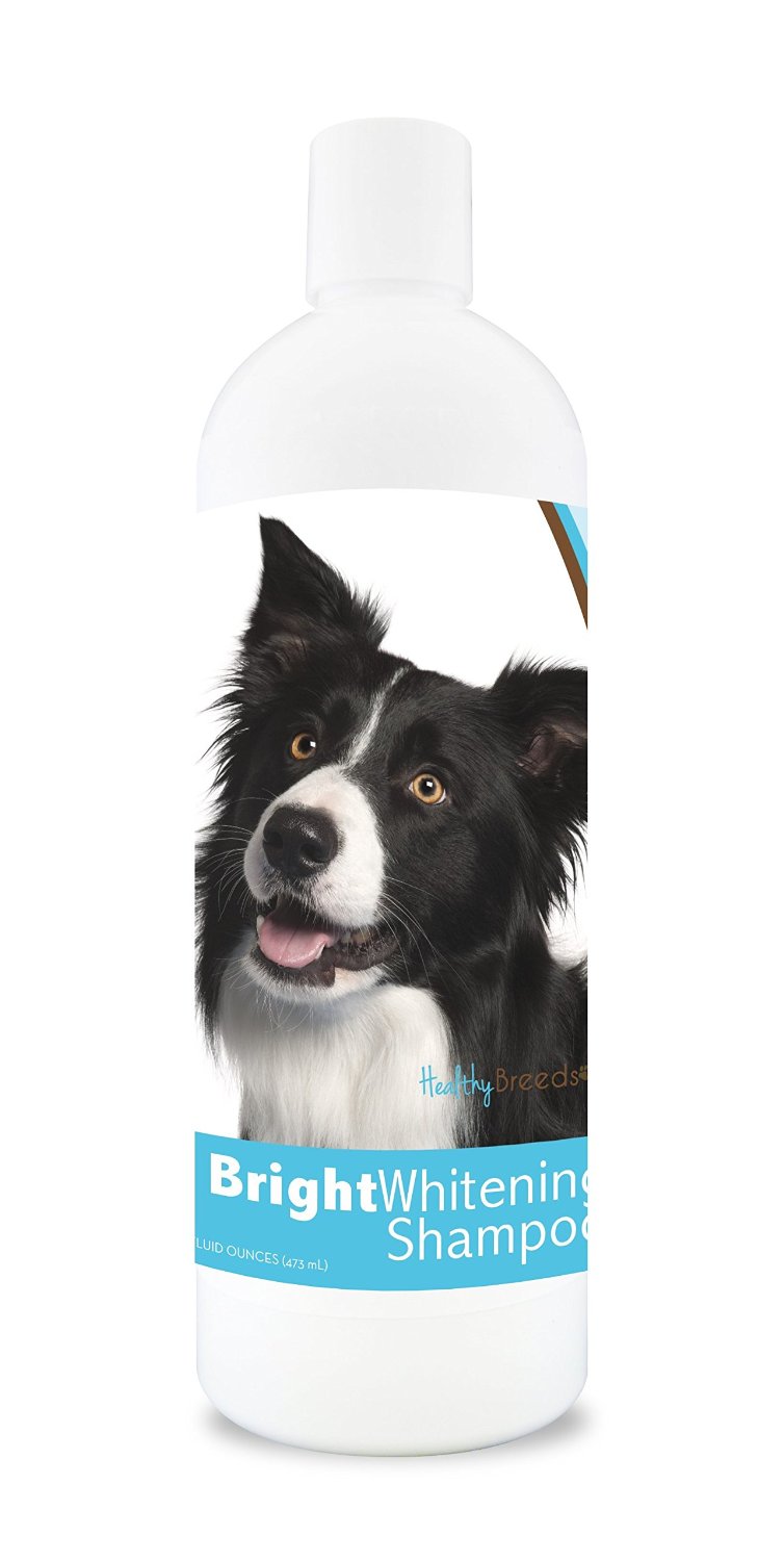 Healthy Breeds Border Collie Bright Whitening Dog Shampoo 12 oz