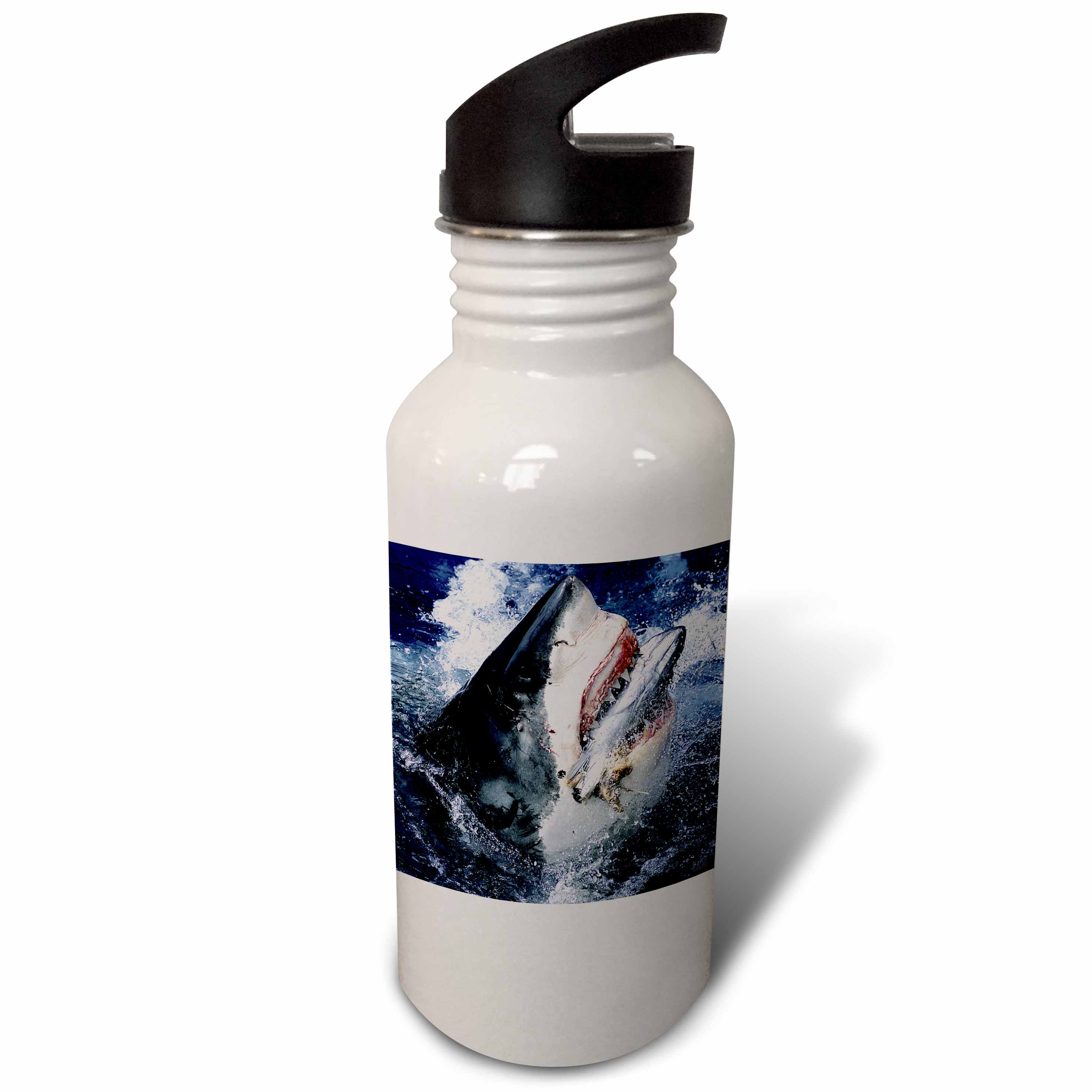 3dRose Great White Shark, Sports Water Bottle, 21oz