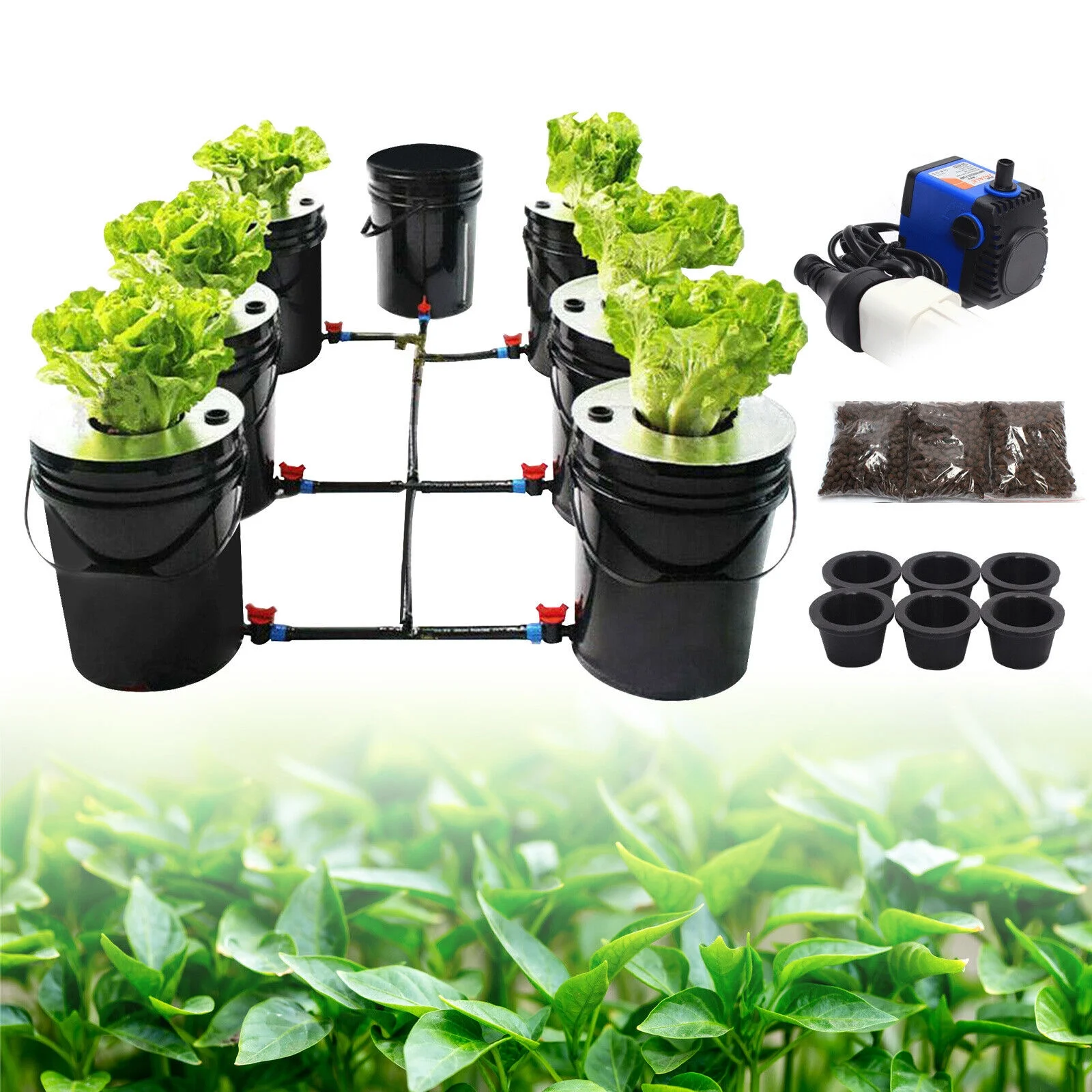 Aiqidi DWC Hydroponics Growing System, 5 Gallon 6 Buckets Recirculating Growing Kit Deep Water Culture with Water Exchange Bucket