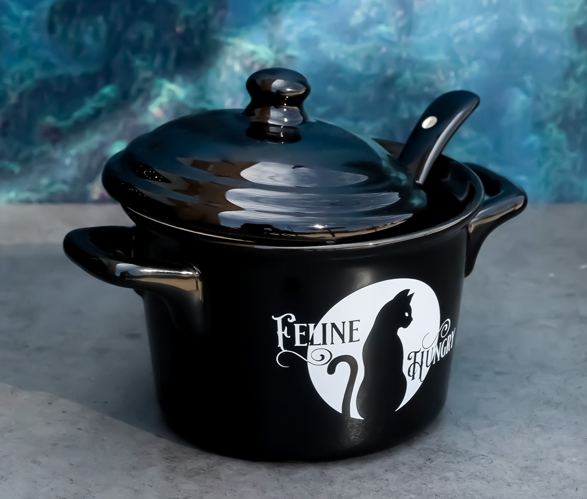 Wicca Full Moon Black Cat Feline Hungry Fine Bone China Bowl With Spoon And Lid