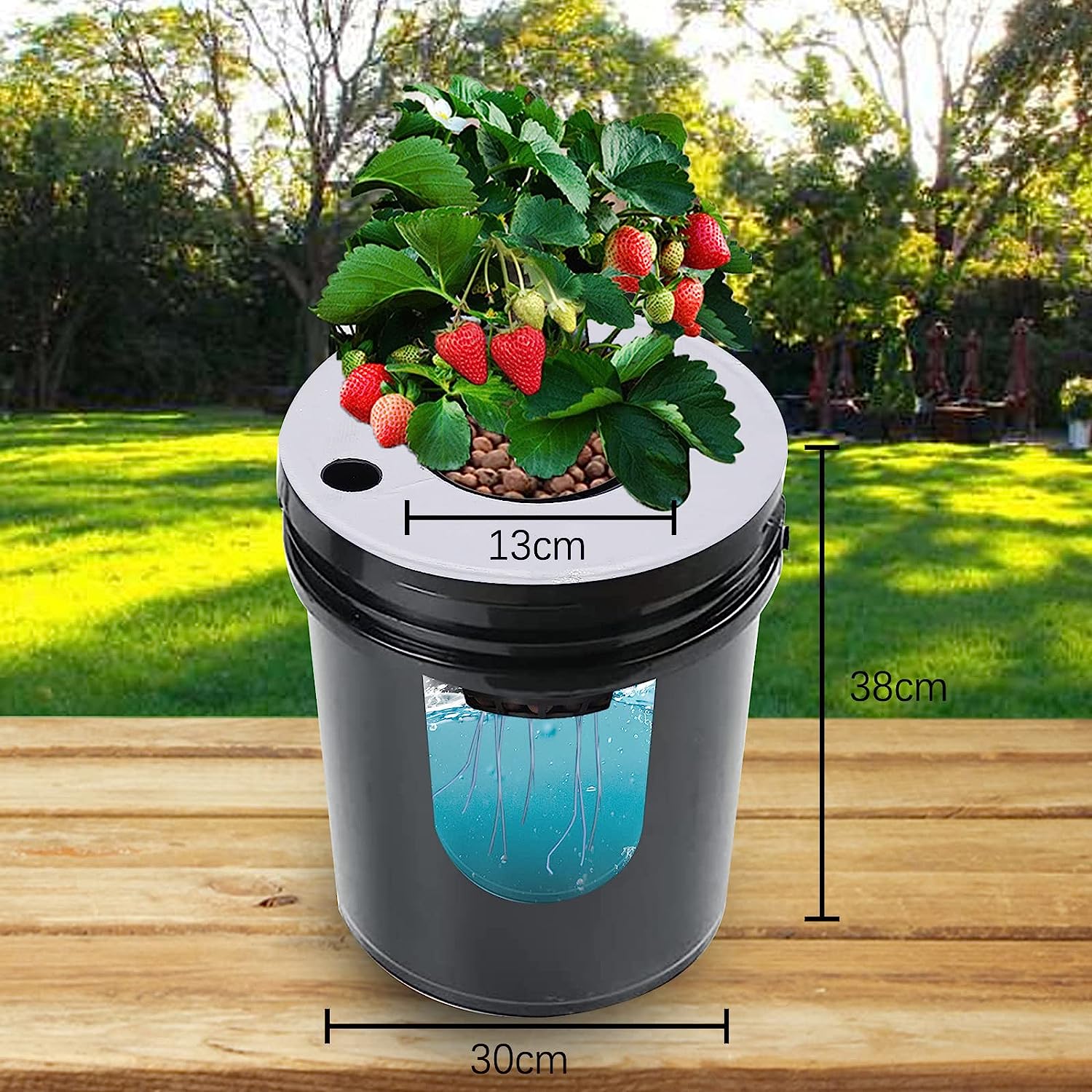 Aiqidi DWC Hydroponics Growing System, 5 Gallon 6 Buckets Recirculating Growing Kit Deep Water Culture with Water Exchange Bucket