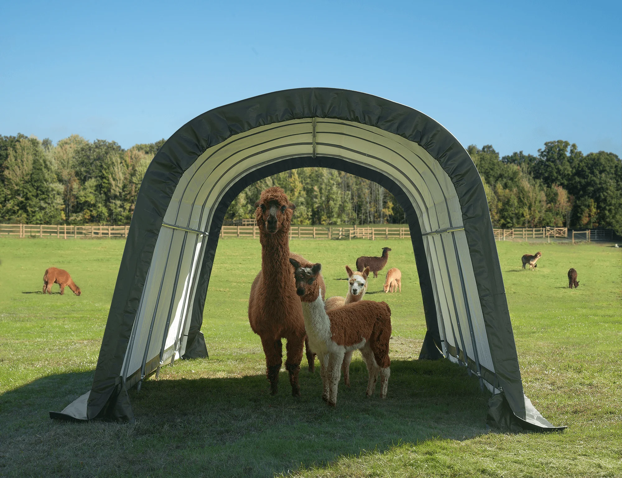 Run-In Shed-in-a-Box 12 x 20 x 8 ft.