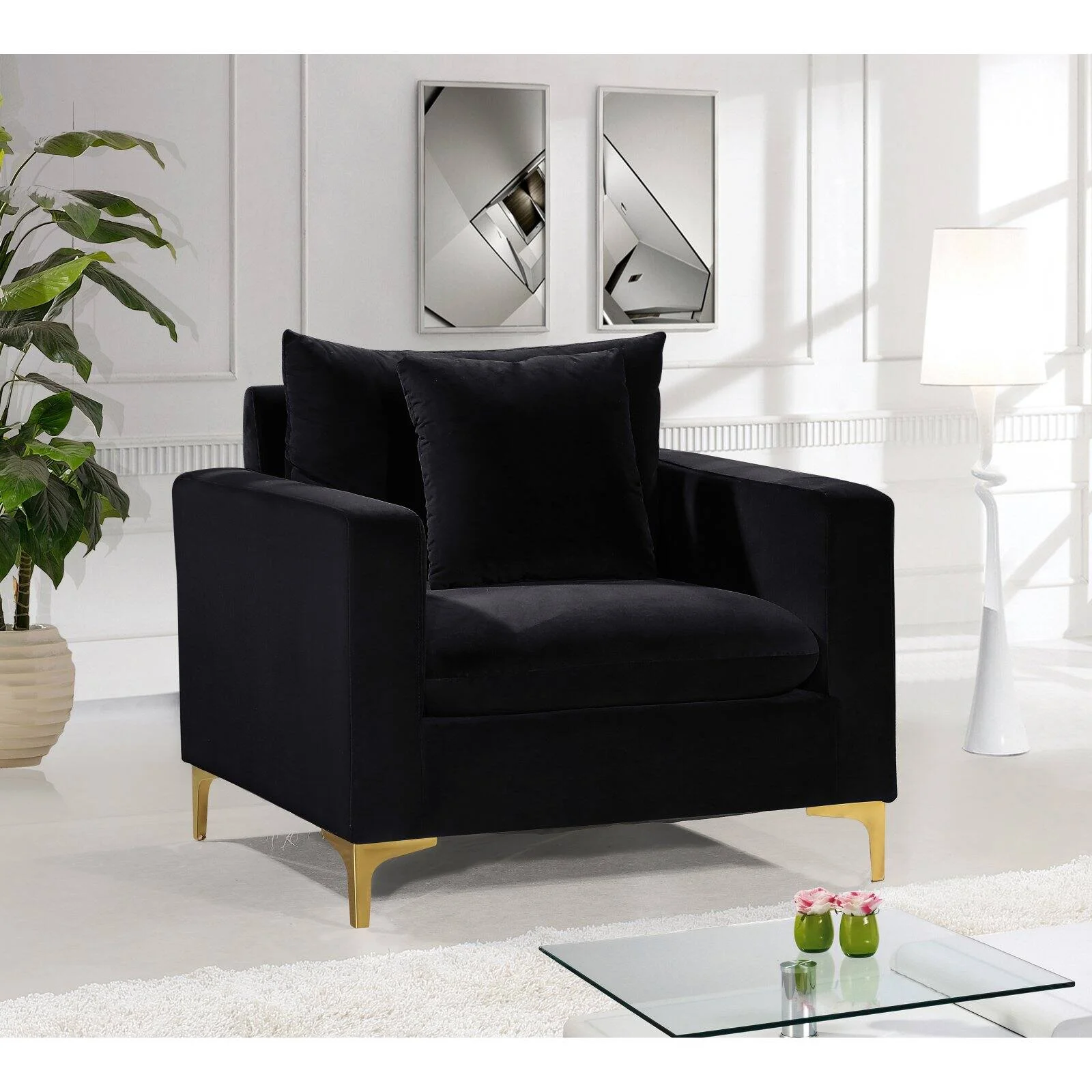 Meridian Furniture Naomi Velvet Accent Chair in Black