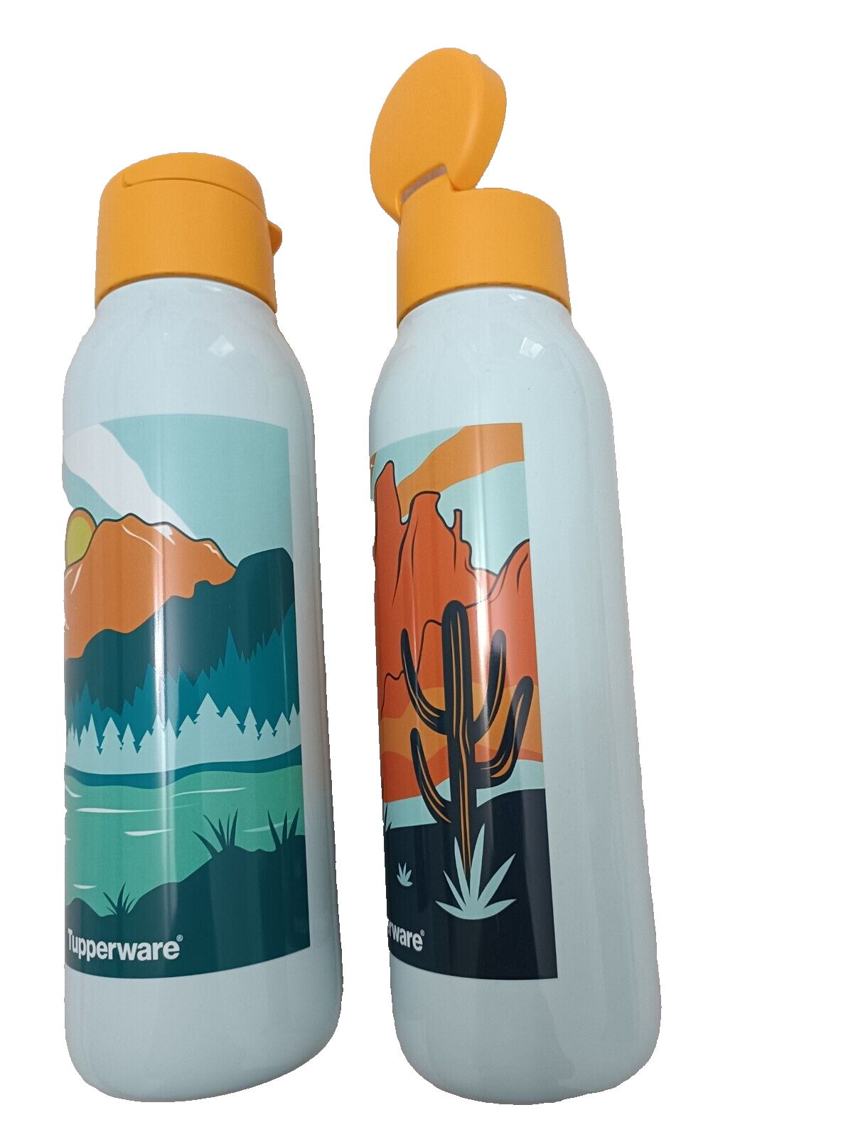 Tupperware Cool n Chic printed Bottle Set of 2 WITH BOX GIFT PACKING