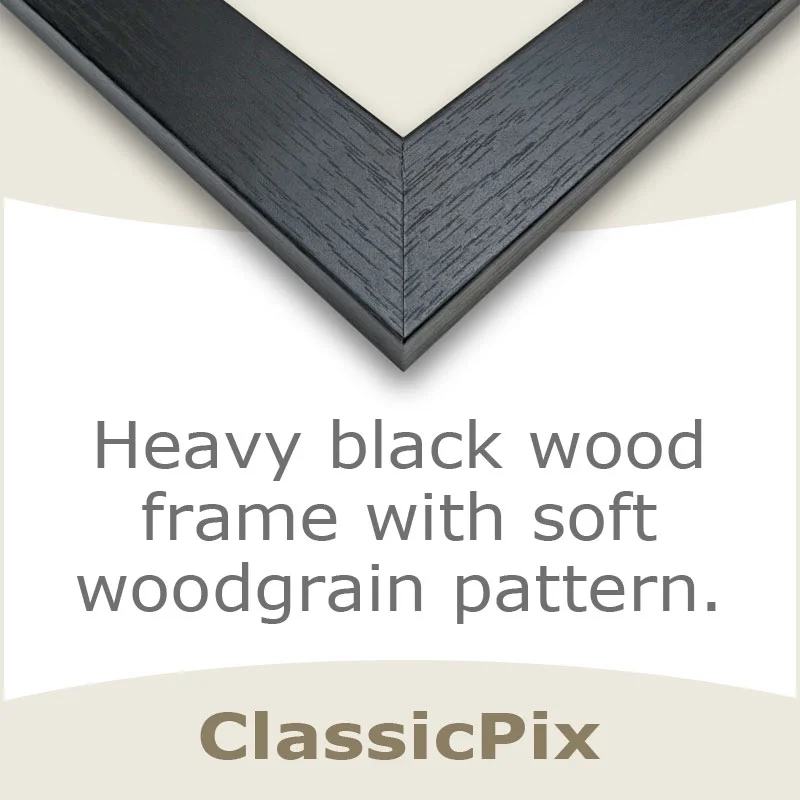 Framed Print: Your Blood Is Bad Means You Have Syphilis You Can Give It To Others