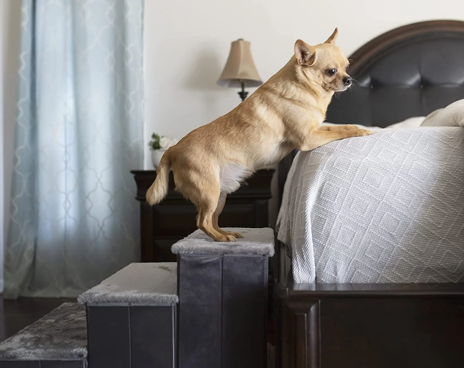 Catry Gray Dog Stair Ladder 3-Steps Sturdy with storage room Extra Stable Special Connection Design 16*20*13 inc with Free Cat Teaser