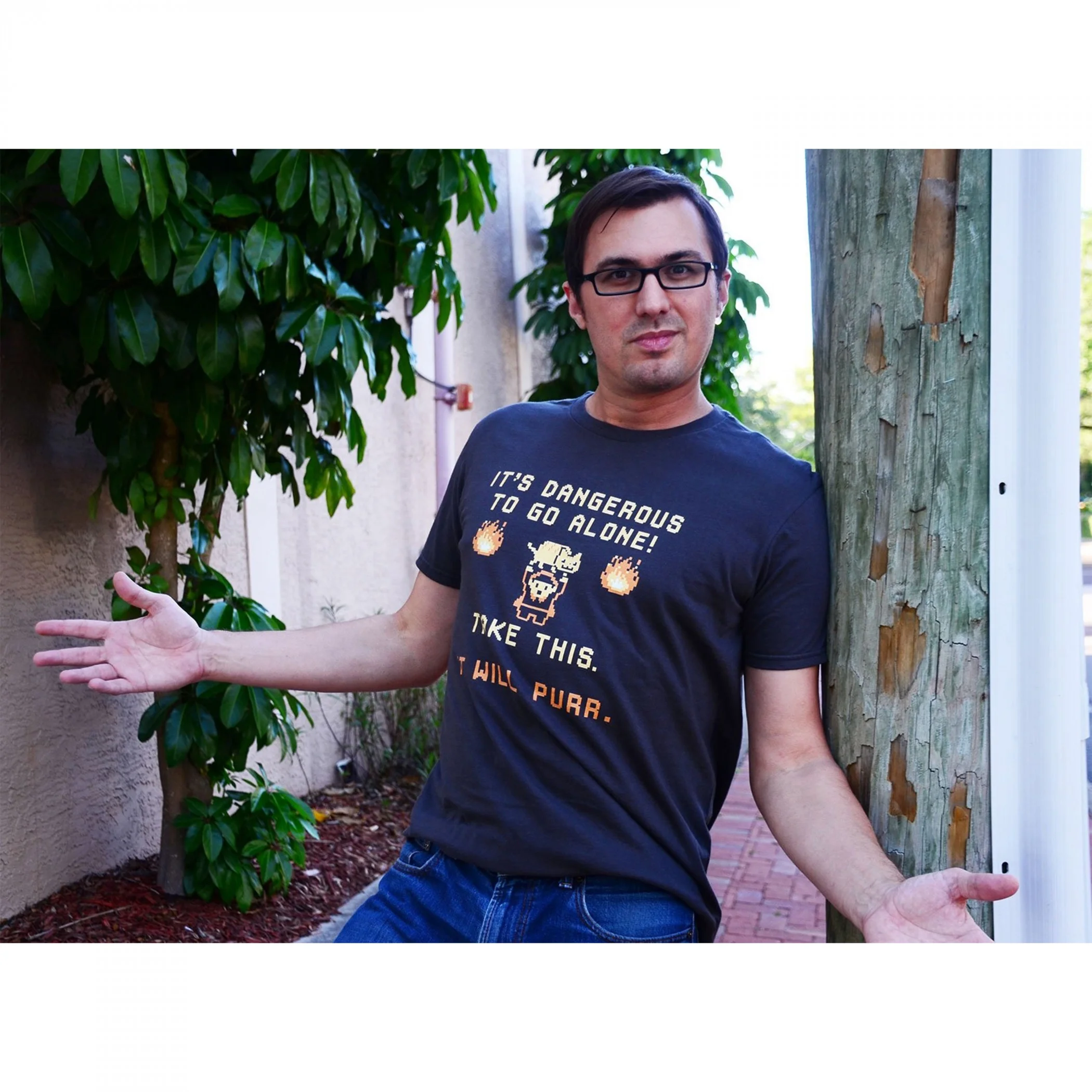 The Legend of Zelda It's Dangerous to Go Alone Nyan Cat T-Shirt-3XLarge