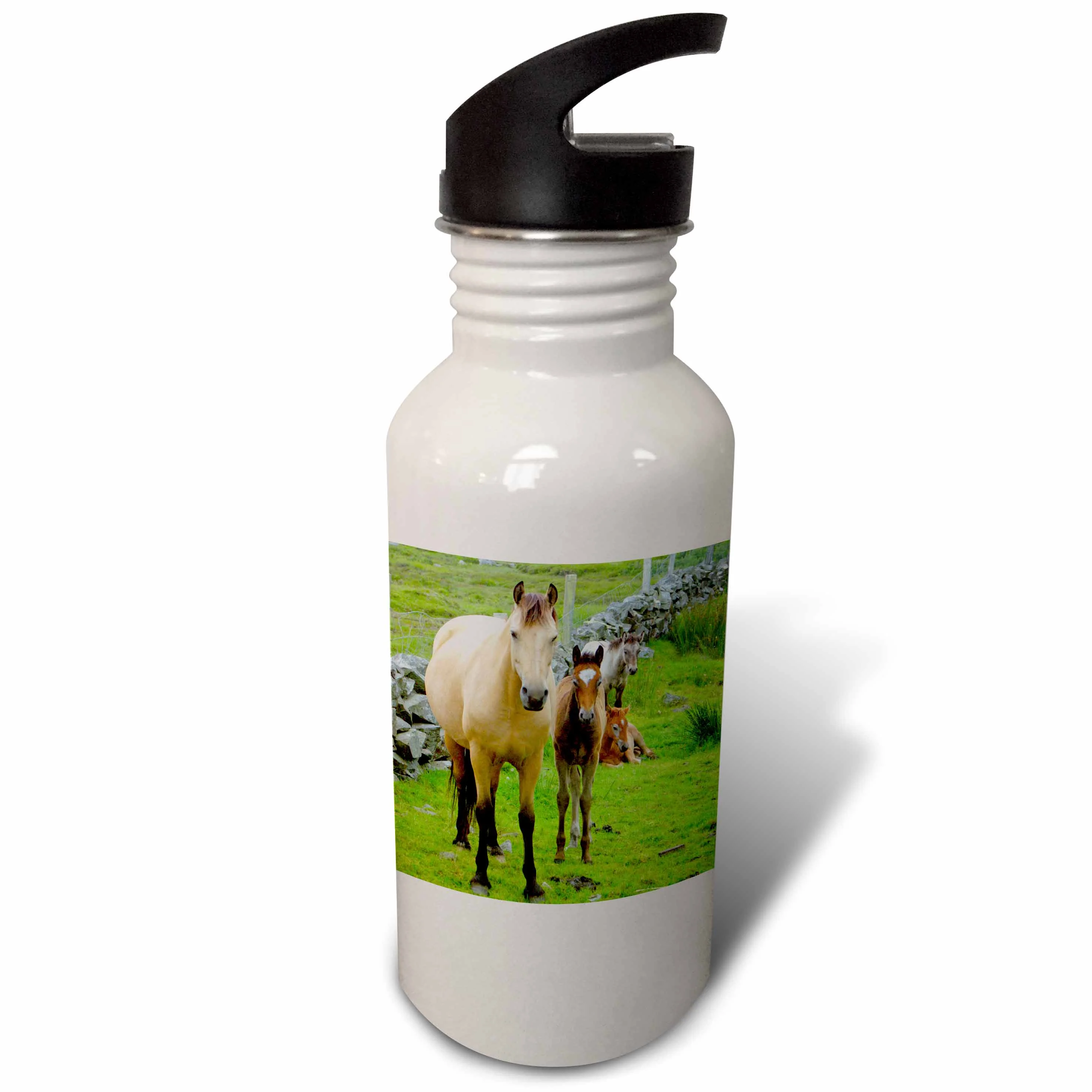 Ireland. Farm horses of the Connemara - EU15 KWI0001 - Kymri Wilt 21 oz Sports Water Bottle wb-81989-1