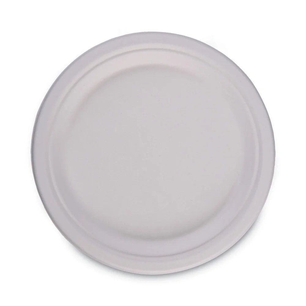 Boardwalk PL-10BW Bagasse 10 in. Plate - White (500/Carton)