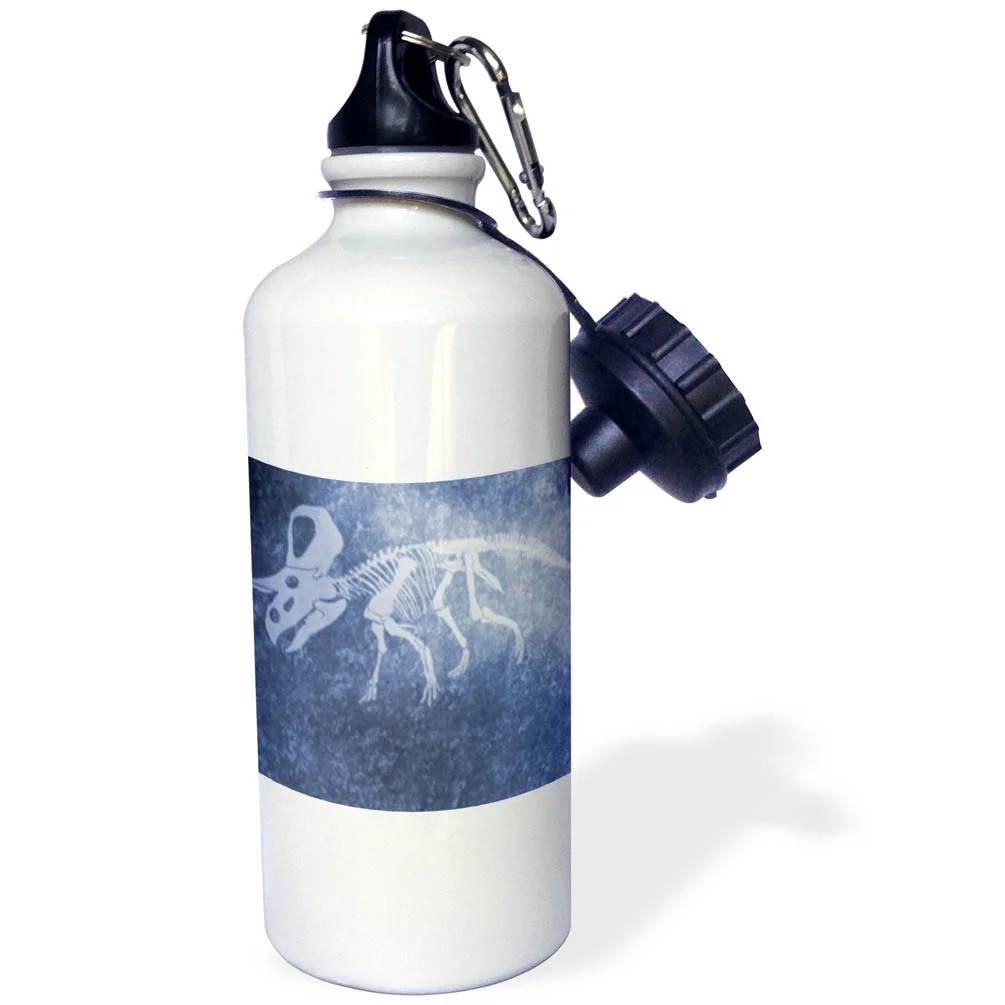 Blue and White Dinosaur II 21 oz Sports Water Bottle wb-35040-1