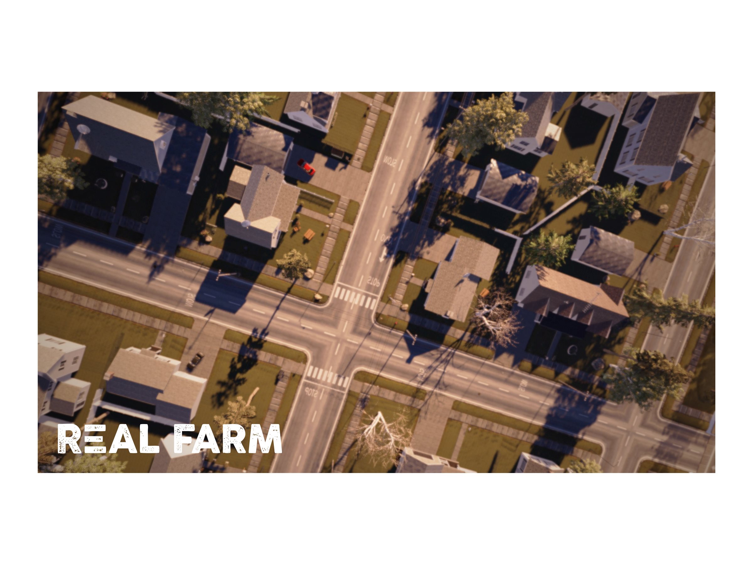 Real Farm: Premium Edition, Soedesco, Nintendo Switch, 850011116067