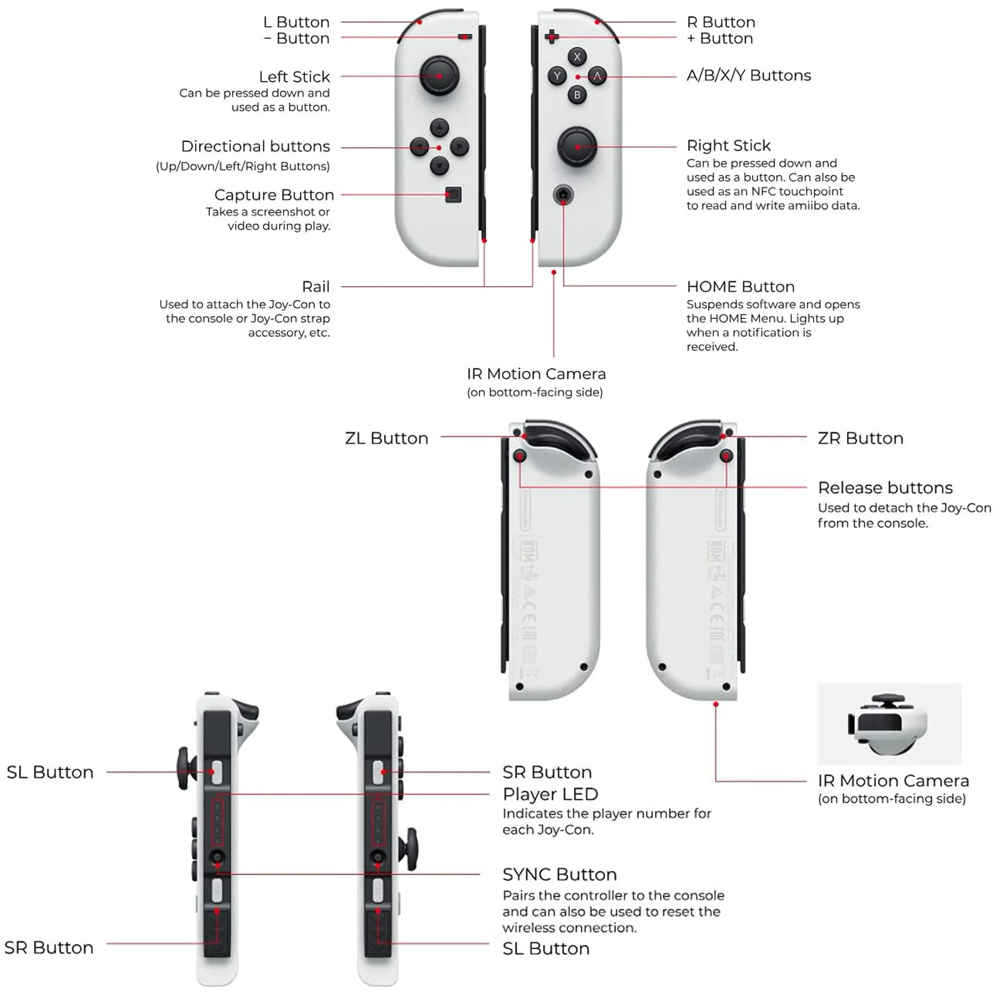 Nintendo Switch 64GB OLED Model Bundle, Nintendo Switch Console with White Joy-Con Controllers & Dock, Vibrant 7-inch OLED Screen, 64GB Storage, Switch Deluxe Travel Case with Mazepoly Accessories