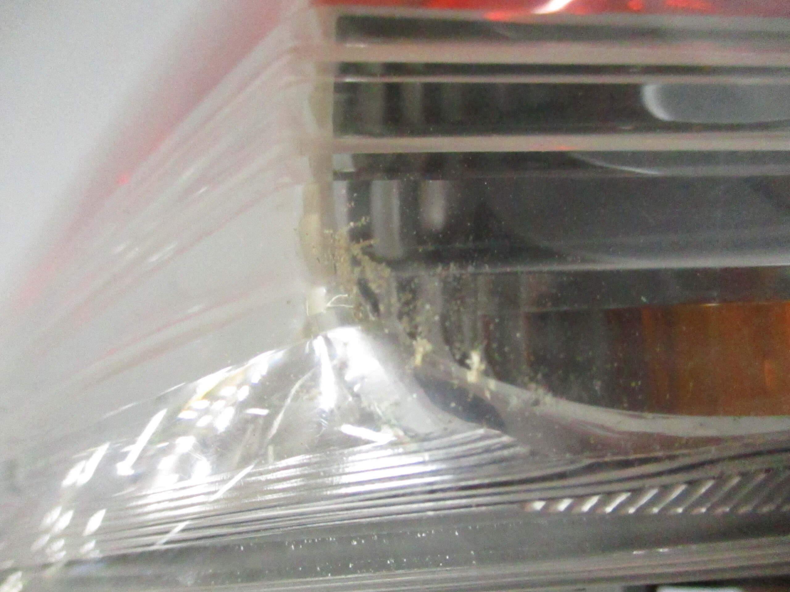 Pre-Owned 2011-2012 Honda Accord Driver LH Tail Light Lamp OEM (Good)