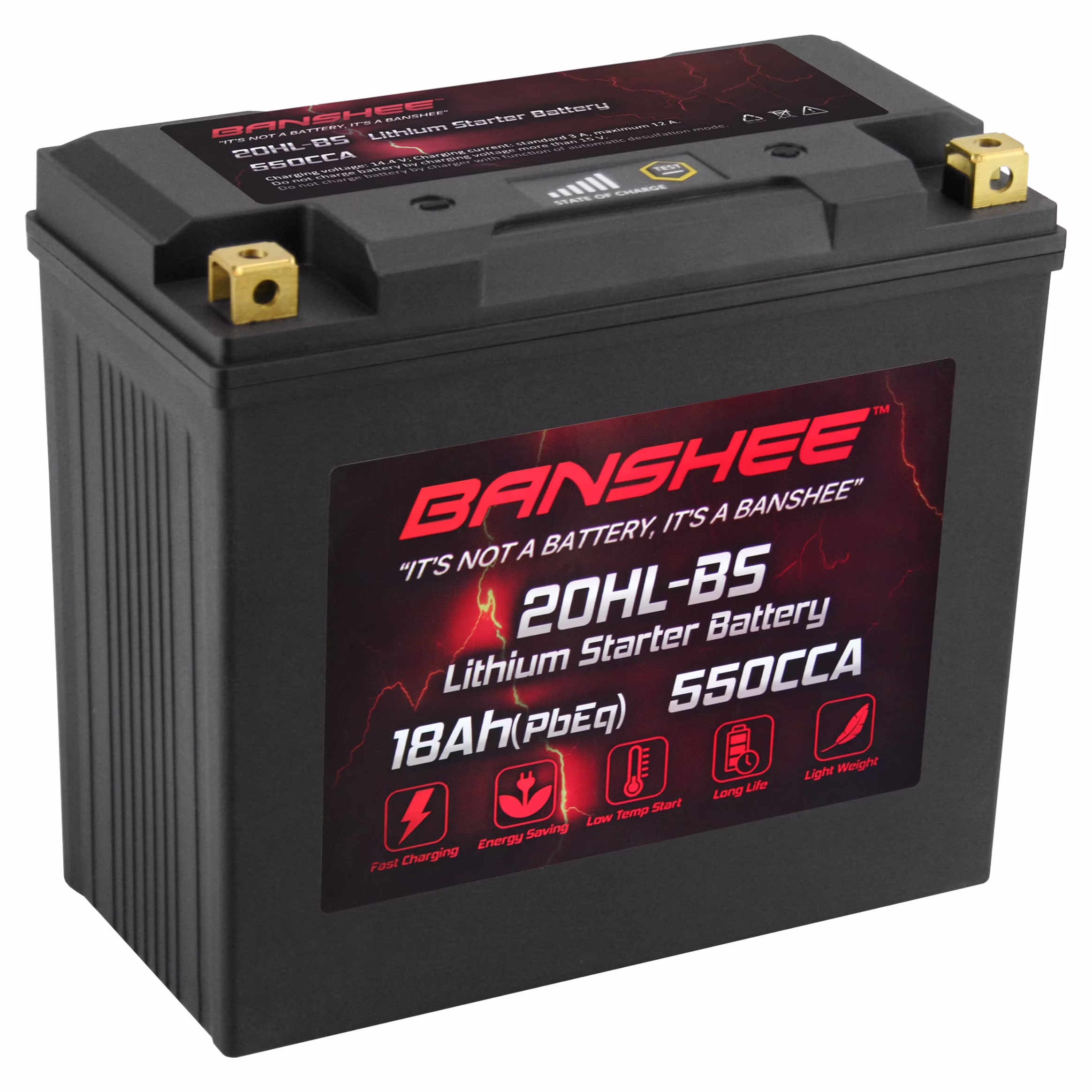 Banshee 20L-BS LiFePO4 Motorsports Battery Compatible with Ski-Doo GSX LE E-TEC 600 HO 2012 to 2015