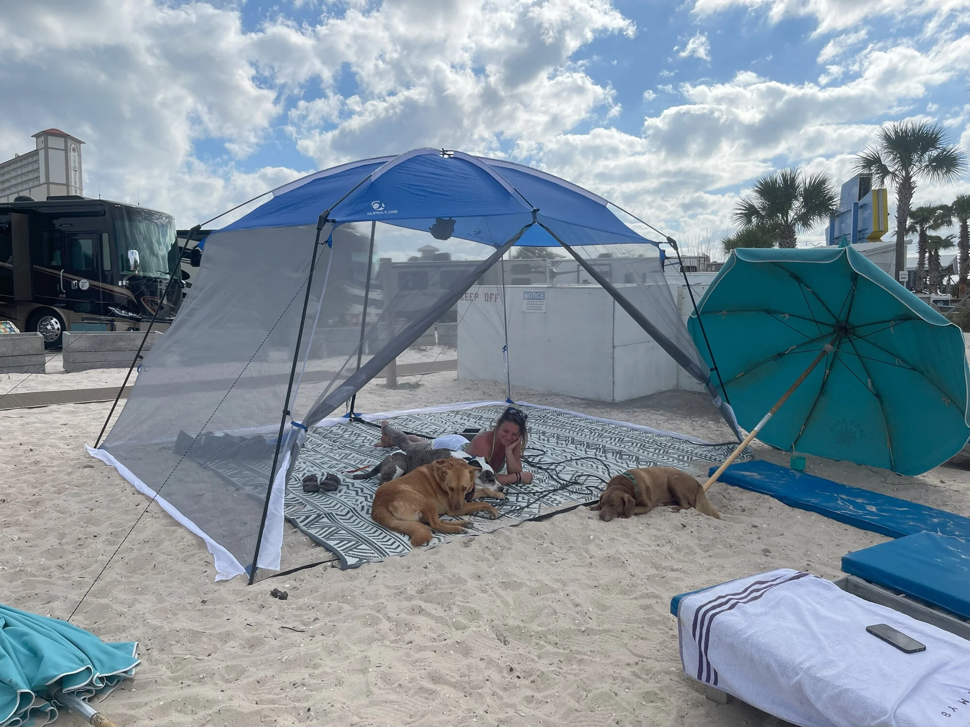 Alpha Camper 13' x 9' Screen House Canopy Sun Shade with One Room, Blue