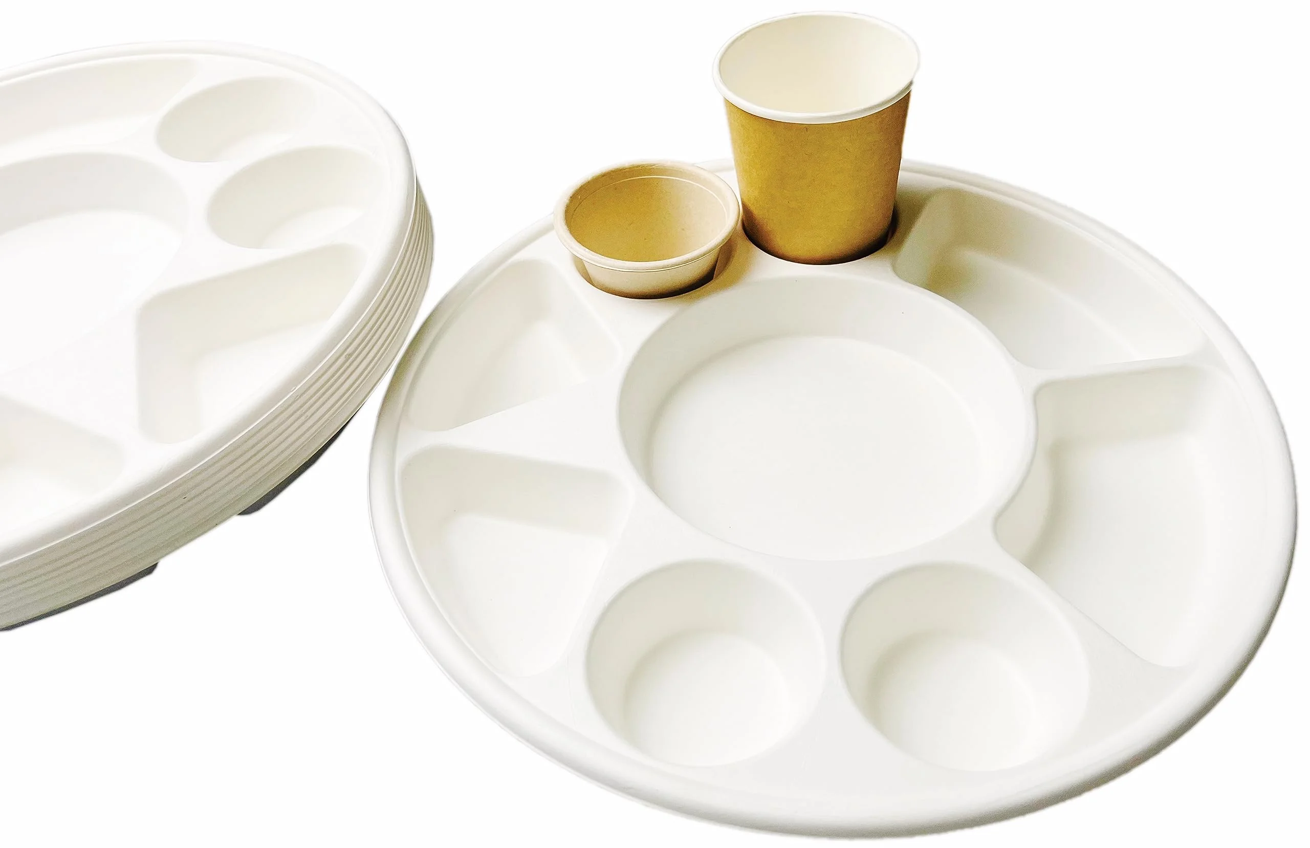 Rani Round Biodegradable Divided Plates, Pack of 50, 9 Compartments ~ Disposable & Eco-Friendly | 12.44