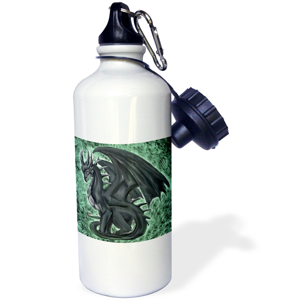 3dRose Night Dragon, Sports Water Bottle, 21oz