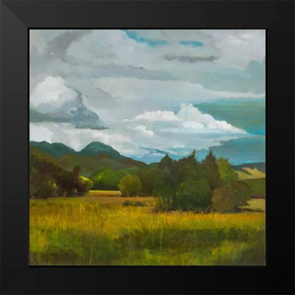 DAgostino, Judith 12x12 Black Modern Framed Museum Art Print Titled - Behind Luan Lodge