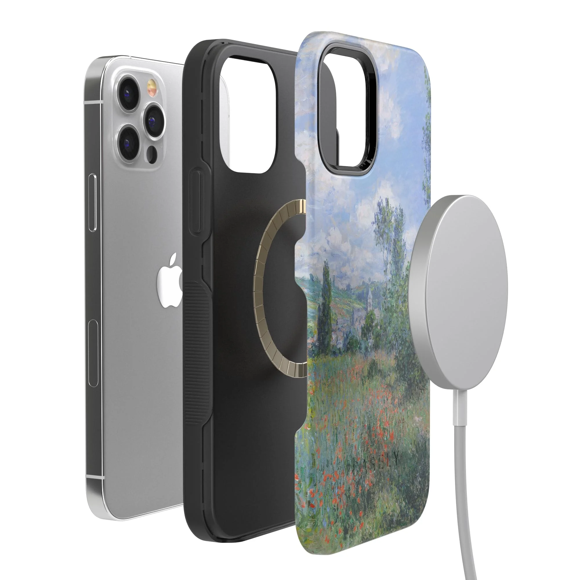 Casely iPhone 12 Pro Case | Monet’s View | The Met Museum Case | MagSafe