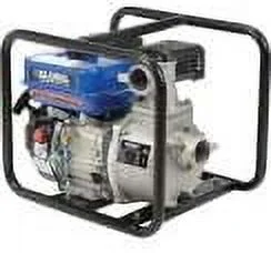 United Power Equipment 761202 2 Plus Intake & Outlet, 7 HP Global Industrial Portable Gasoline Water Pump