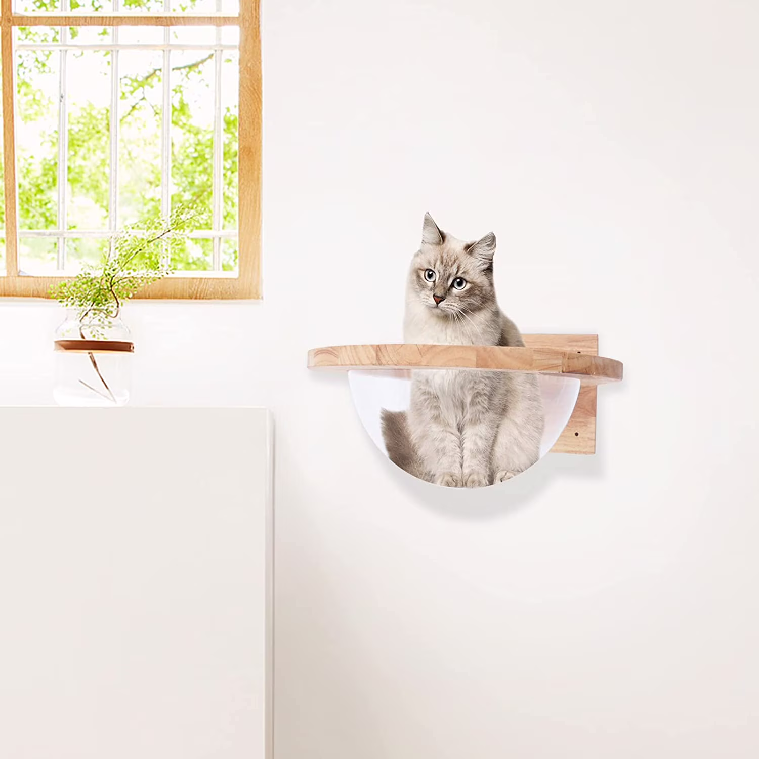 TFCFL Wall Mounted Cat Bed House Climbing Frame Space Capsule Play House Pet Furniture