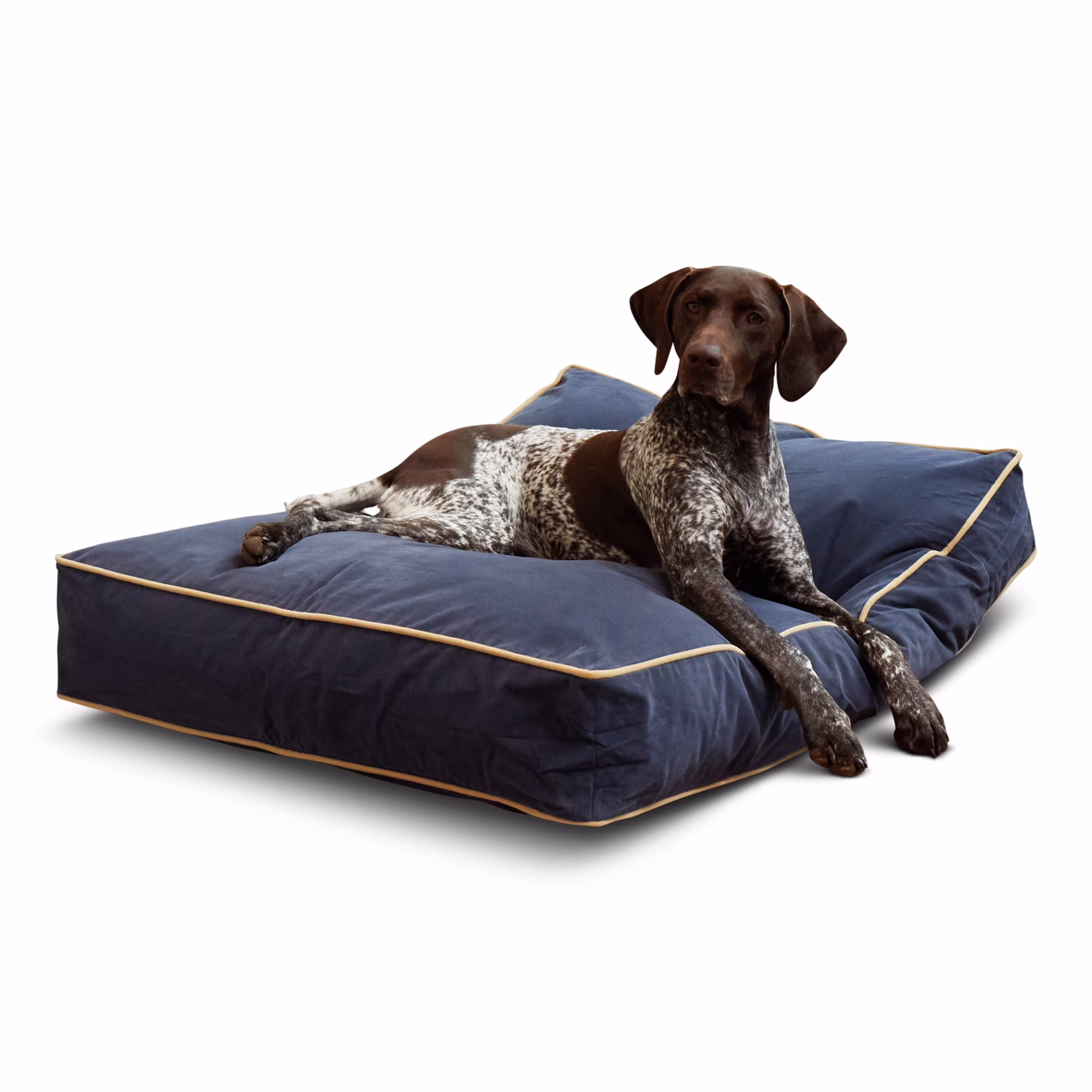 Happy Hounds Buster Rectangle Pillow Style Dog Bed, Denim, Medium (42 x 30 in.)