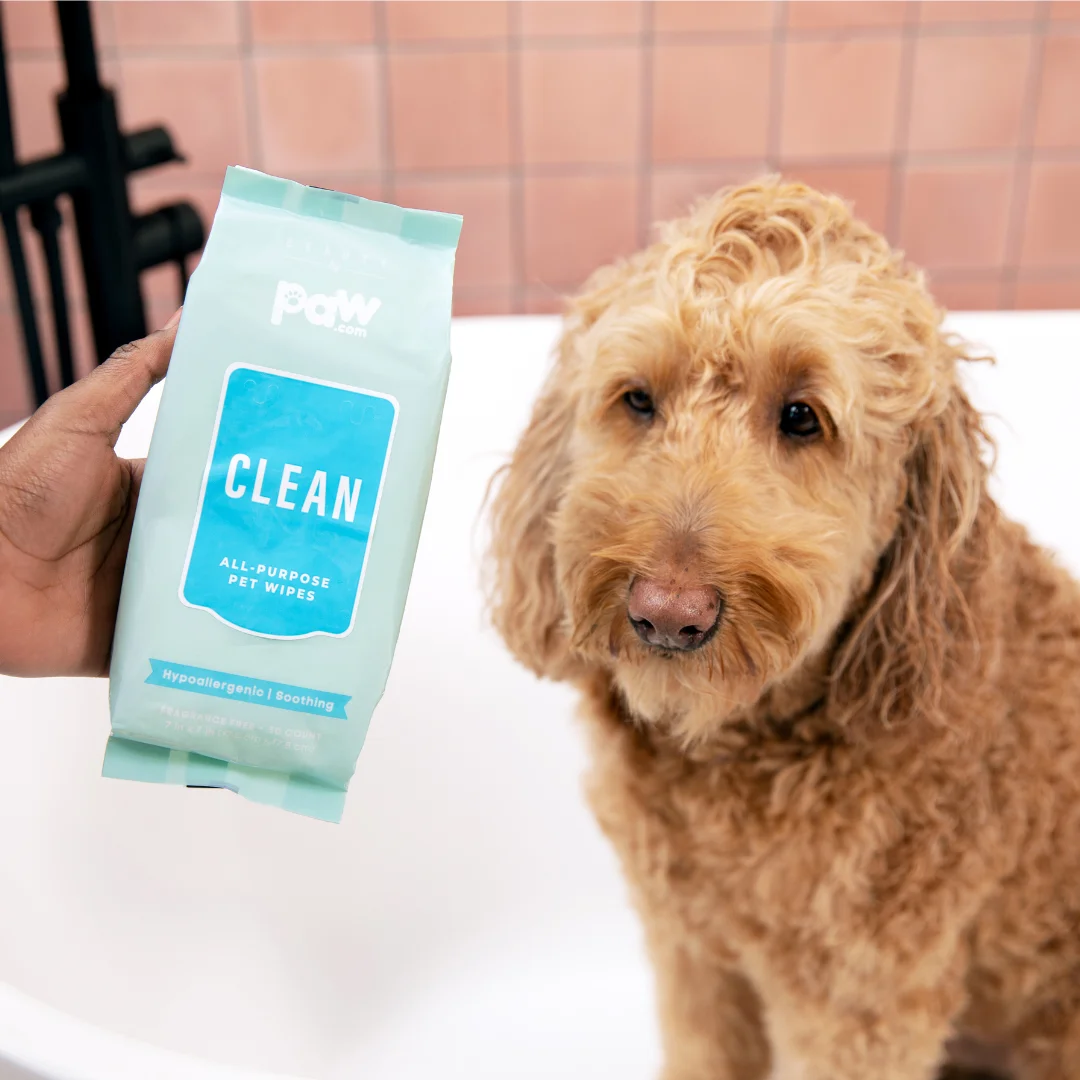 Clean All-Purpose Pet Wipes Full Size - Pack of 2