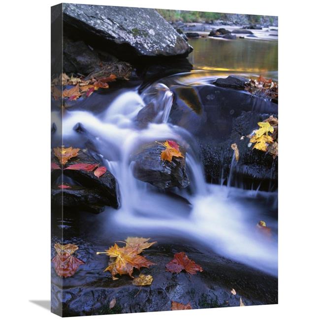 18 x 24 in. Autumn Leaves in Little River, Great Smoky Mountains NP Tennessee Art Print - Tim Fitzharris