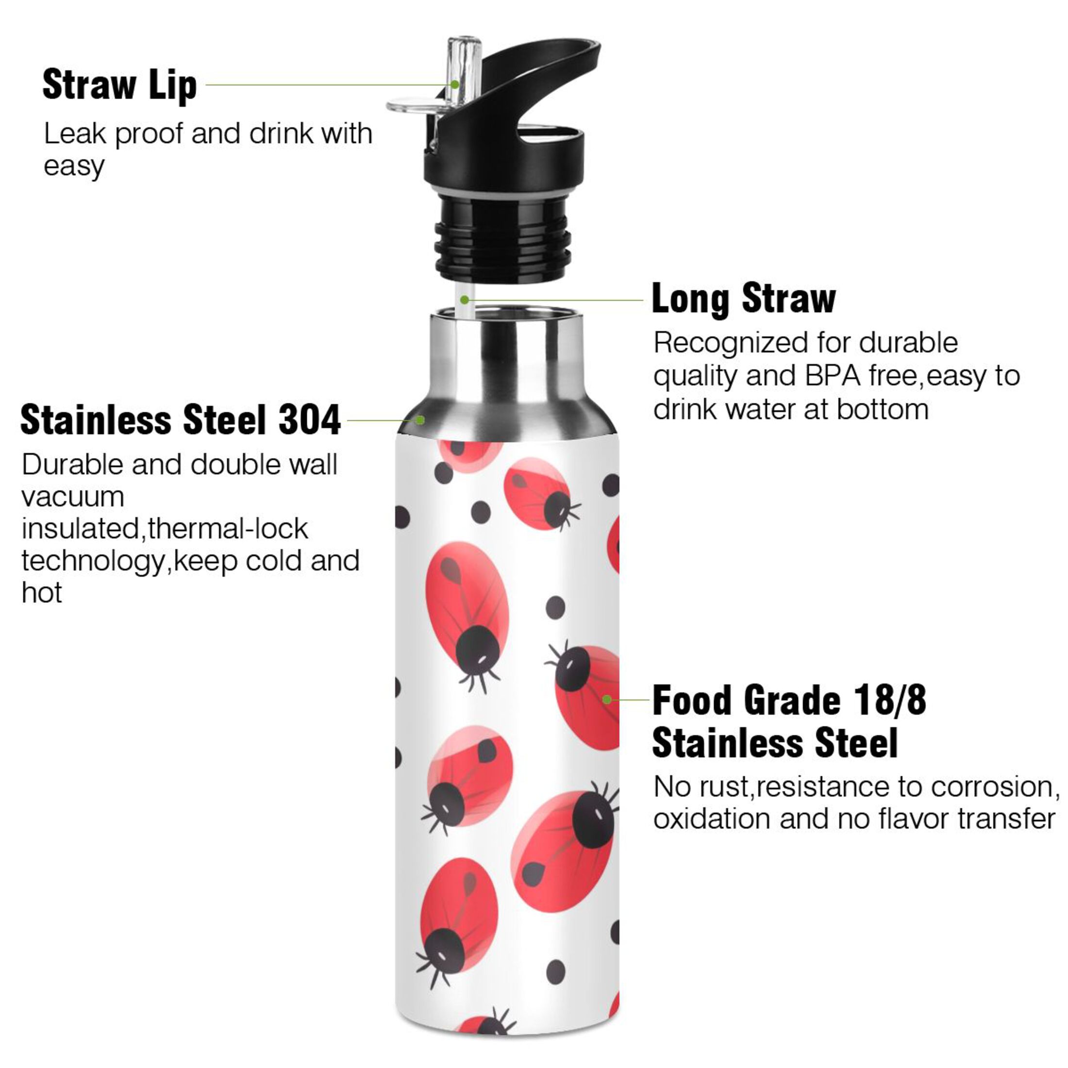 Ladybugs Water Bottles Insulated Thermos Kids Stainless Steel Bottle with Straw Lid Flask Leakproof for Sports Gym 20 oz