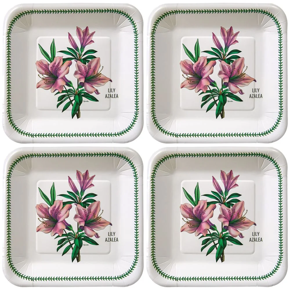 C.R. Gibson Paper Lunch/Dessert Plates (Set of 8) | Spode Garden Florals