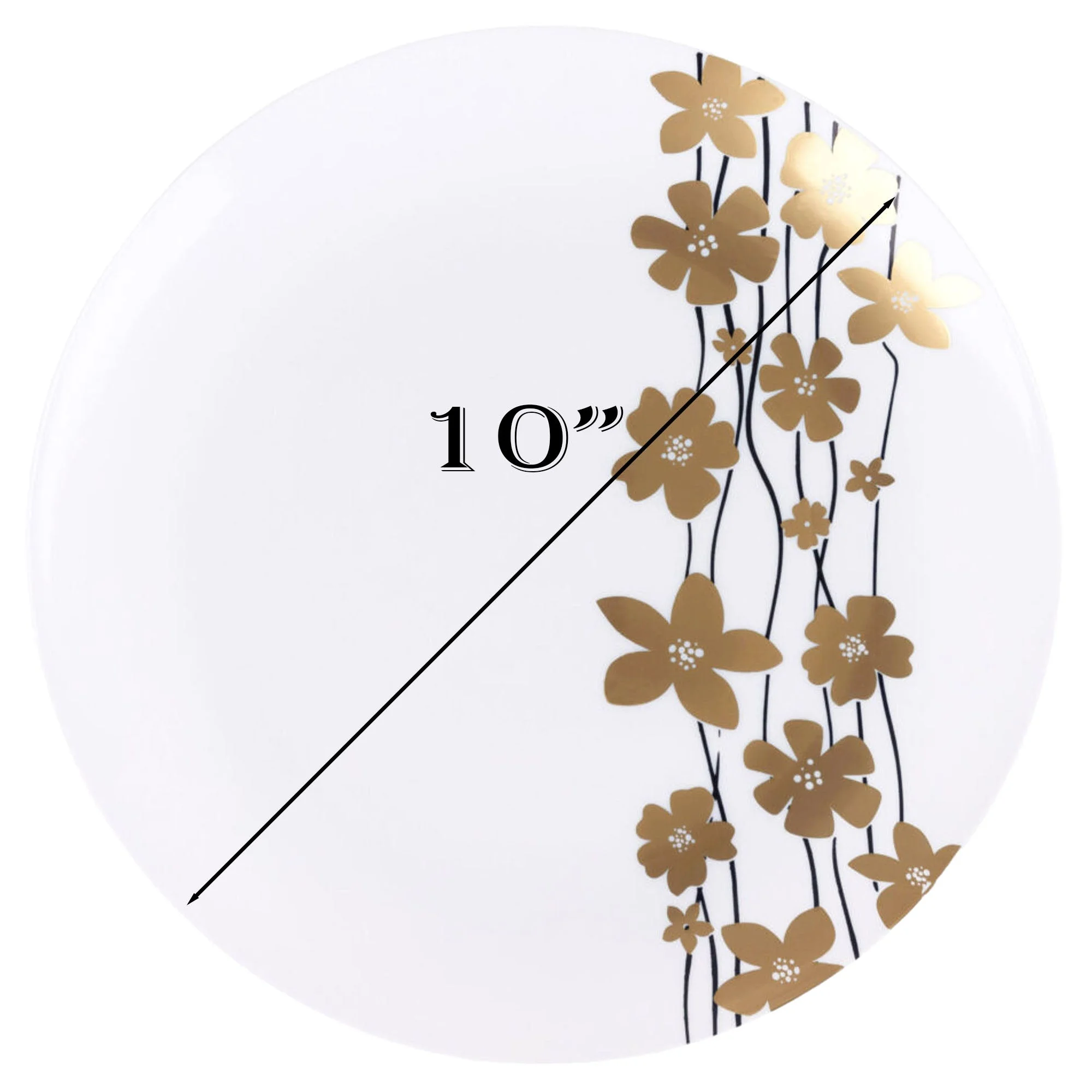 (10 PACK) EcoQuality 10