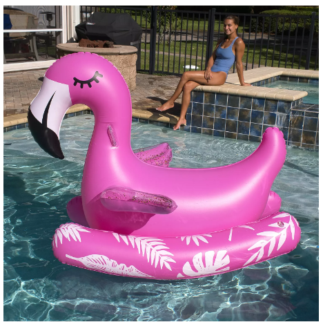Novelty Ride-On Pool Float