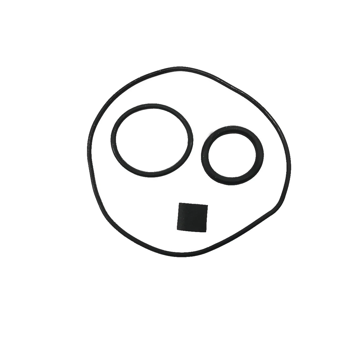 Outboard Water Pump Kit Replaces Johnson Evinrude 5001595 with Housing 75-250HP