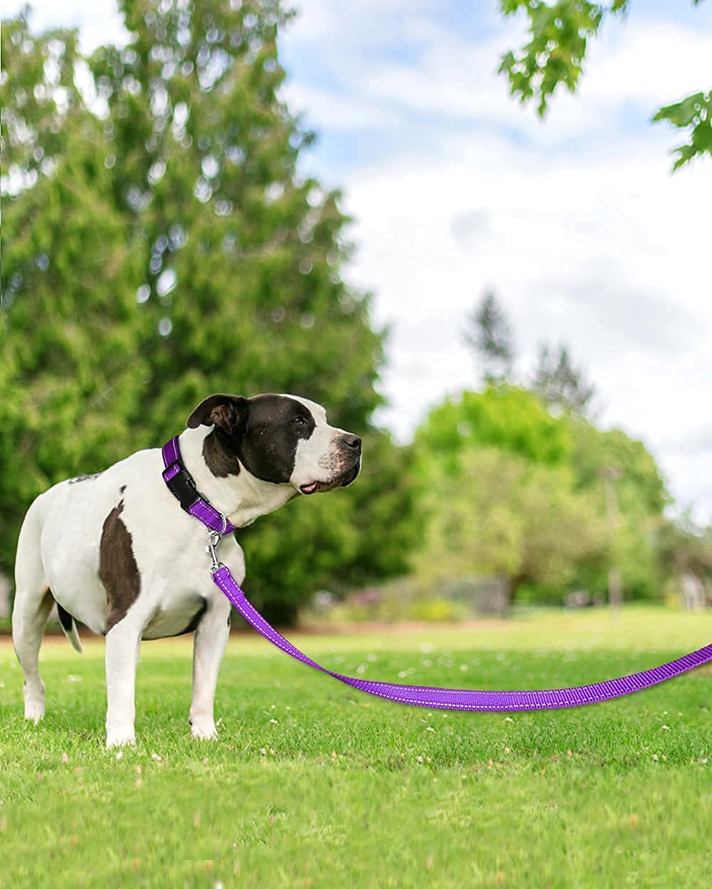 Dog Collar Bundle with 5FTx1 Width Double-Sided Reflective Dog Leash,5FT Nylon Dog Leashes with Nylon Dog Collar for Small Dogs,Purple