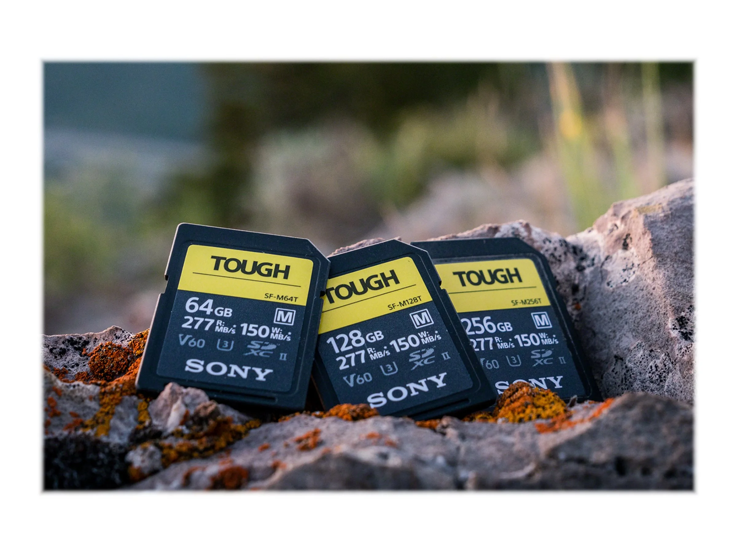 Sony Sf-m Series Tough Sf-m64t - Flash Memory Card - 64 Gb - Uhs-ii U3 / Class10 - Sdxc Uhs-ii