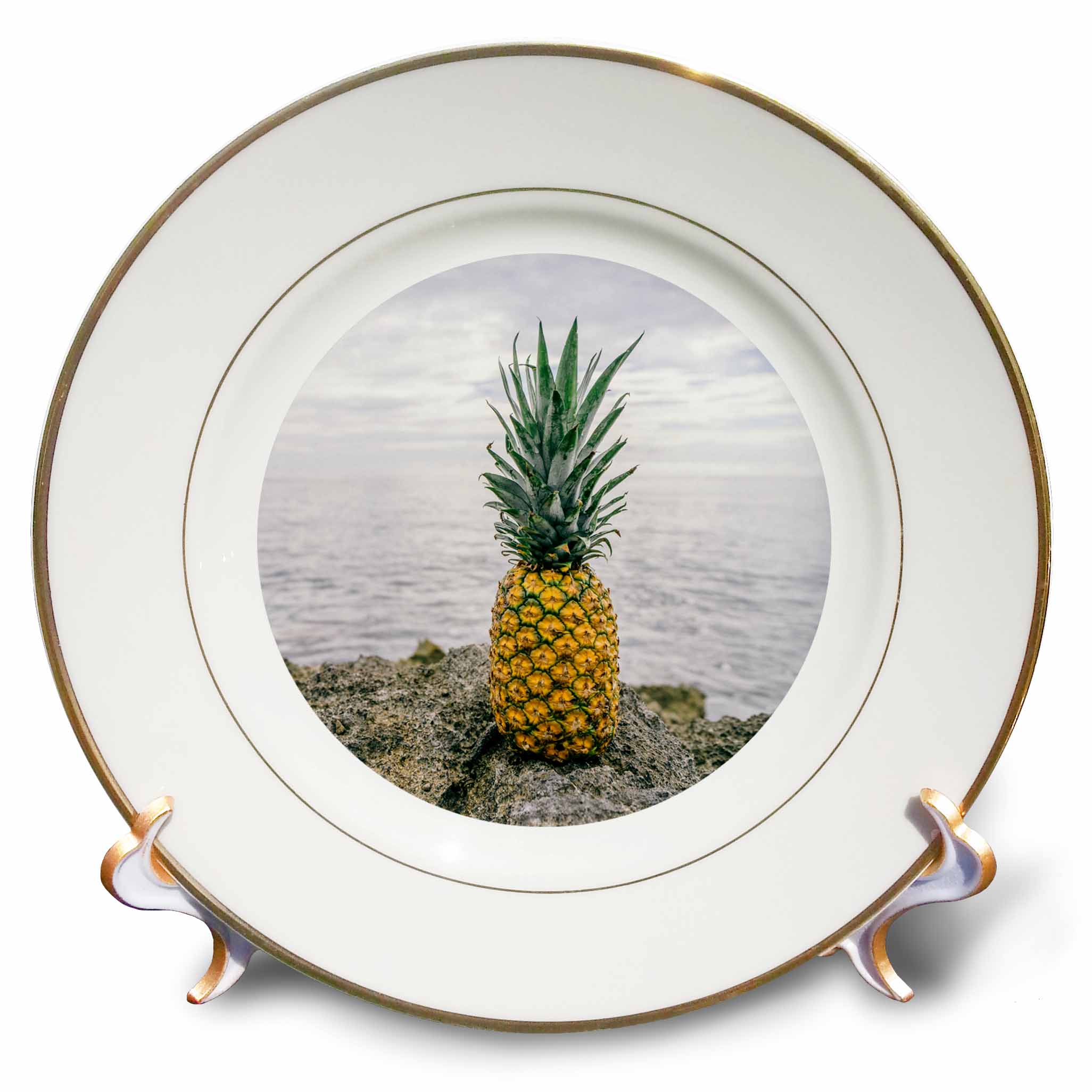 3dRose Tropical Pineapple Set In A Circle - Porcelain Plate, 8-inch