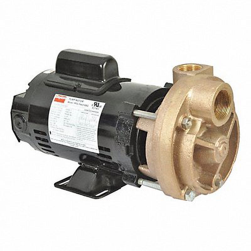 Dayton Turbine Pump,3/4 HP,115 to 230V,3450 rpm  53EA96
