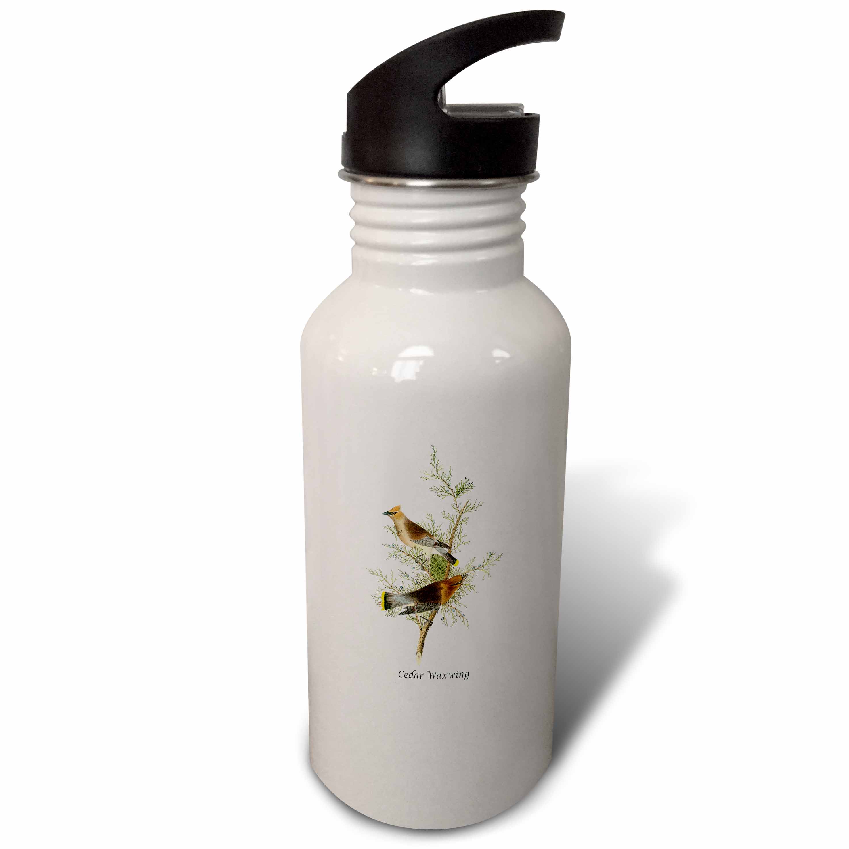 Cedar Waxwing by John James Audubon 21 oz Sports Water Bottle wb-114034-1