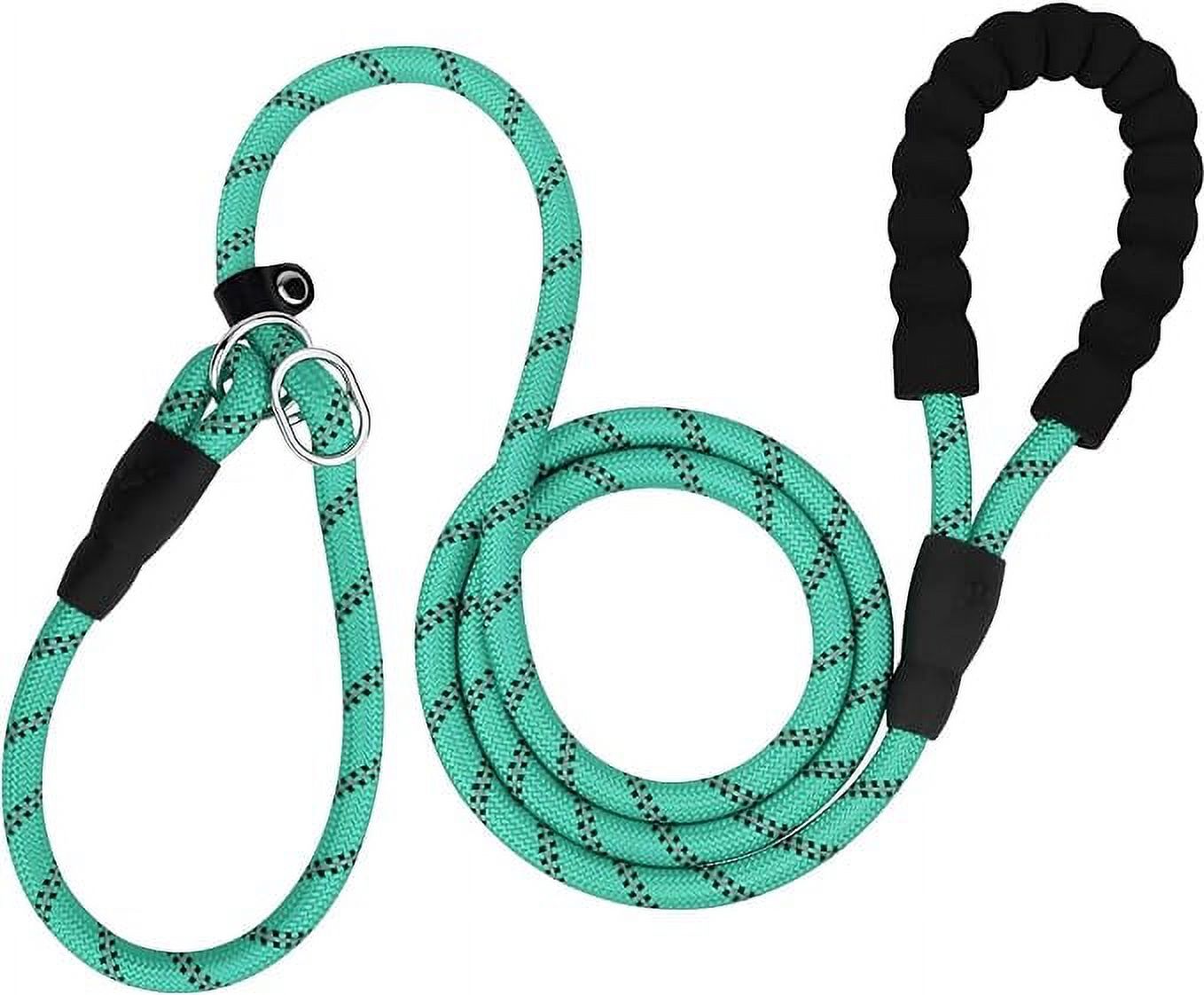 TagME 6 FT Slip Lead Dog Leash,12 Colors,Reflective Strong Rope Slip Leash with Padded Handle,Durable No Pulling Pet Training Leash for Puppy/Small Dogs,Turquoise