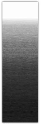 Dometic B3314989NR416  B3314989NR416; Replacement Fabric, RV Patio Awning Universal Pol Onyx 16-Foot