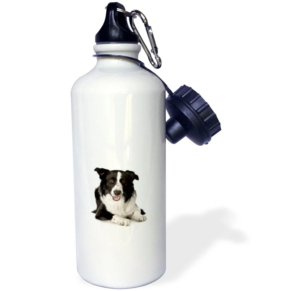 Border Collie 21 oz Sports Water Bottle wb-195151-1