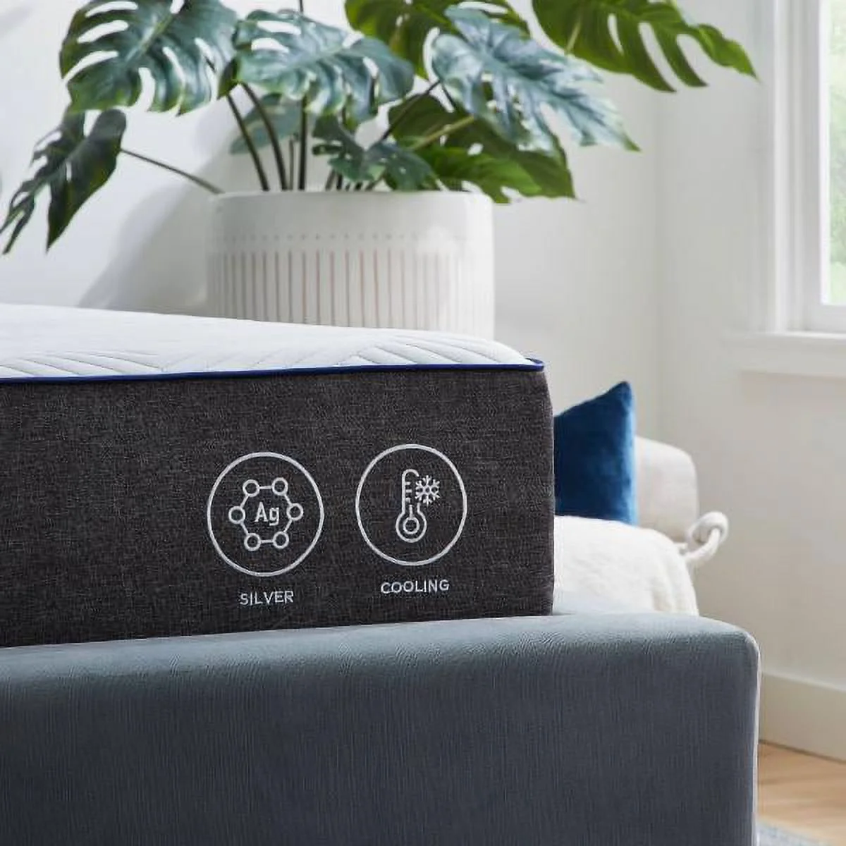 Malouf 10-inch Medium-Firm Mattress, Queen